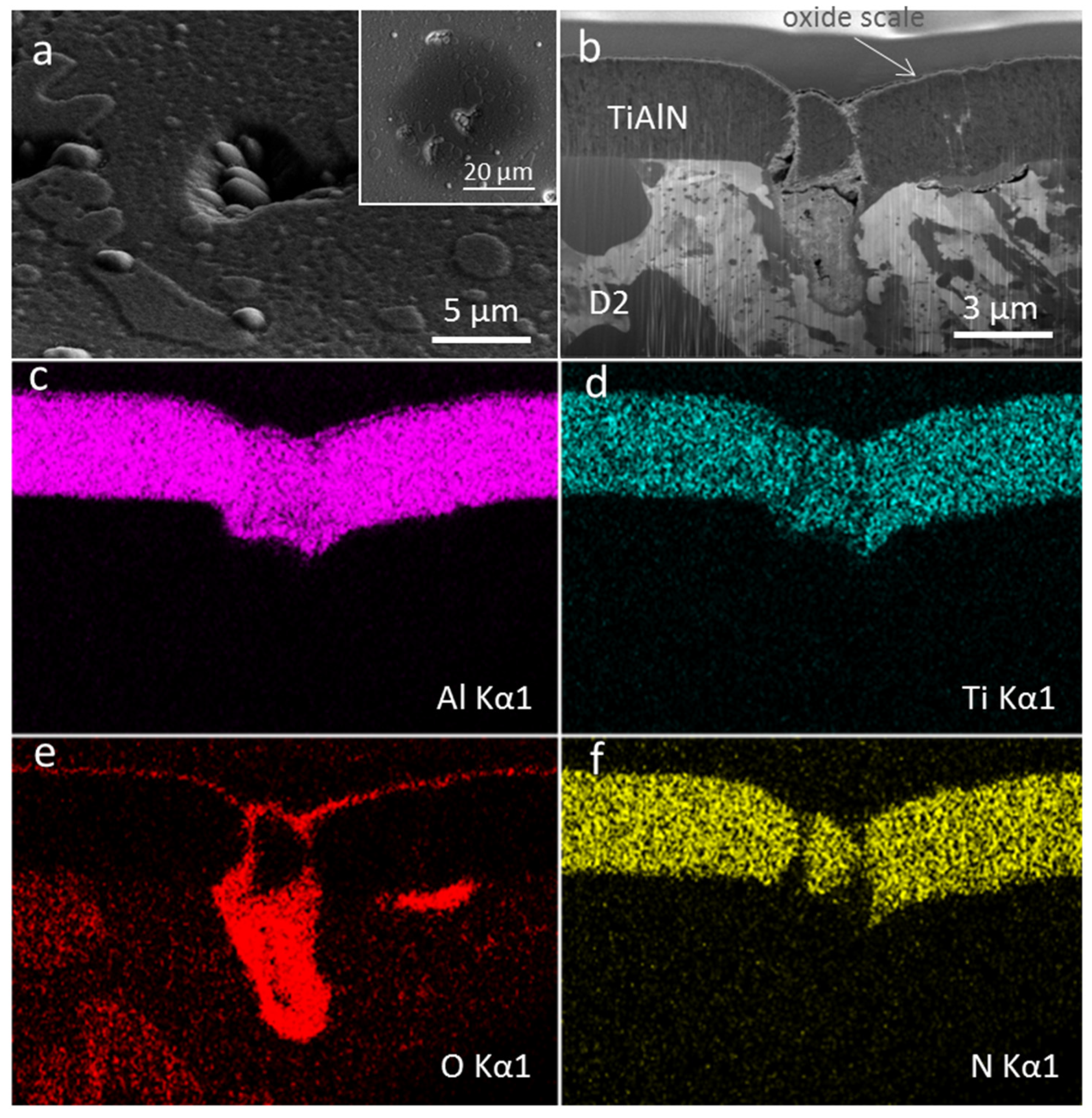 Coatings 11 00123 g007 Coatings 11 00123 g007