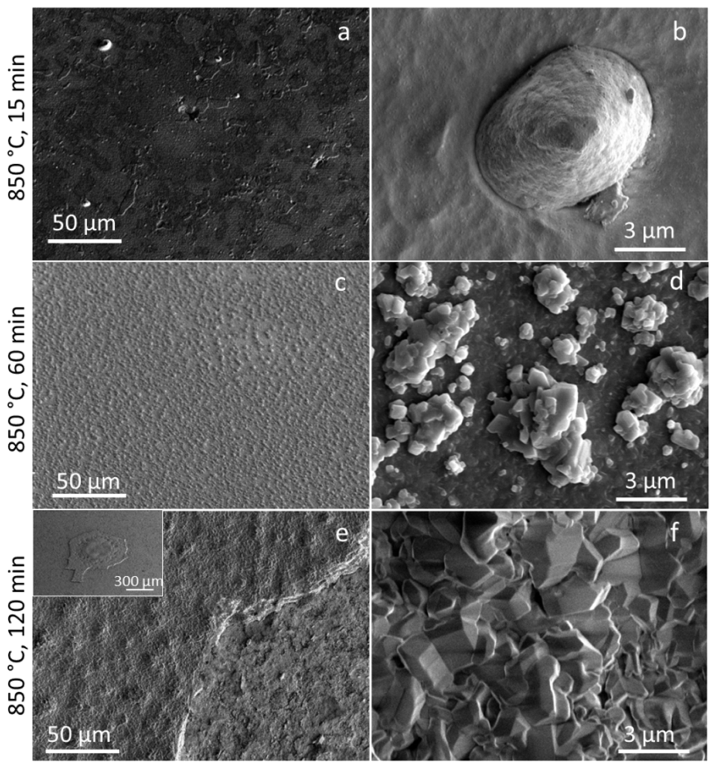 Coatings 11 00123 g008 Coatings 11 00123 g008