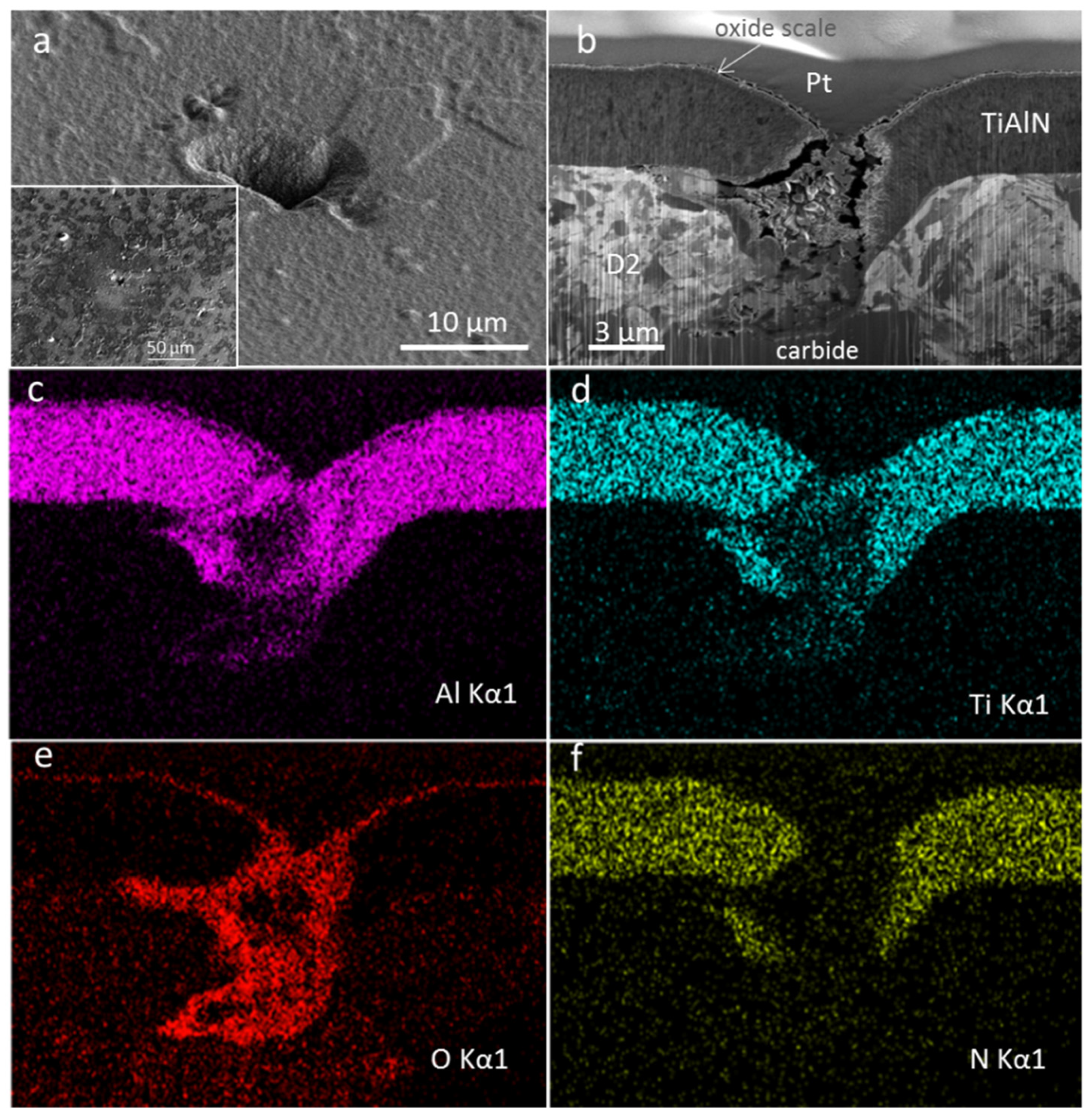 Coatings 11 00123 g009 Coatings 11 00123 g009