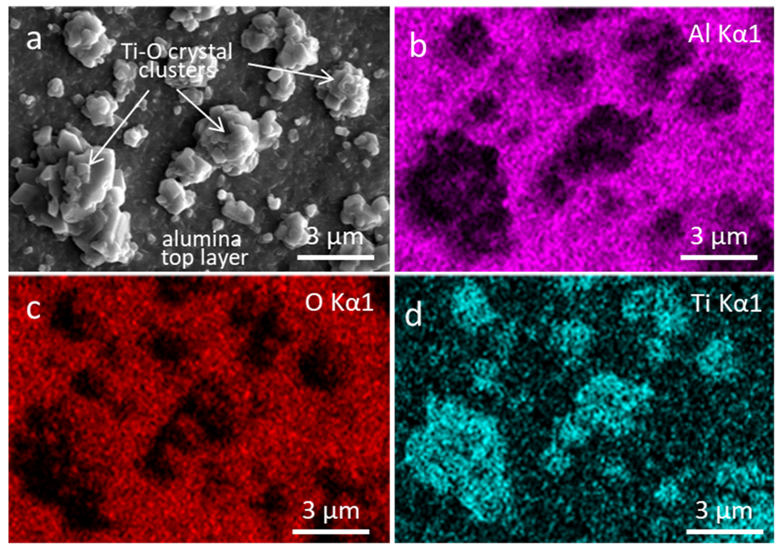 Coatings 11 00123 g011 Coatings 11 00123 g011