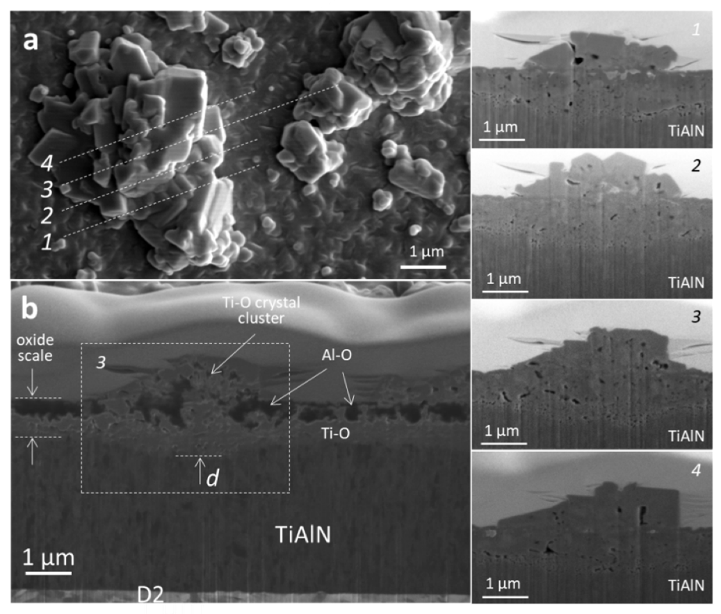Coatings 11 00123 g012 Coatings 11 00123 g012