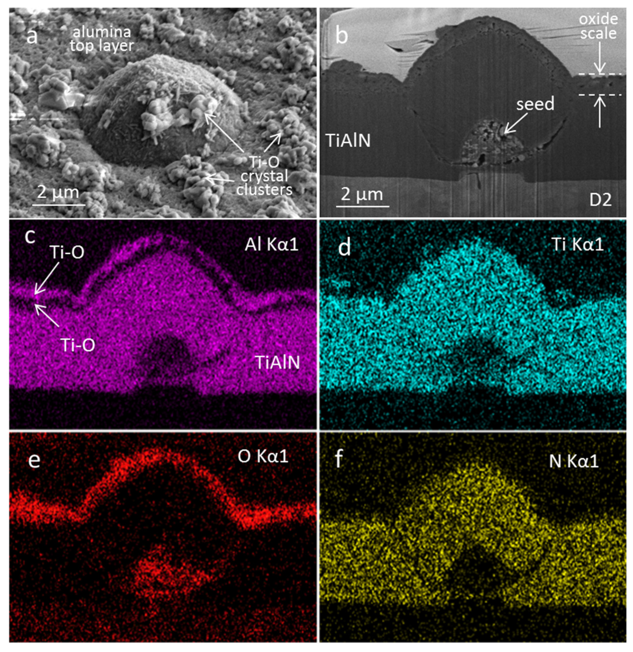 Coatings 11 00123 g014 Coatings 11 00123 g014