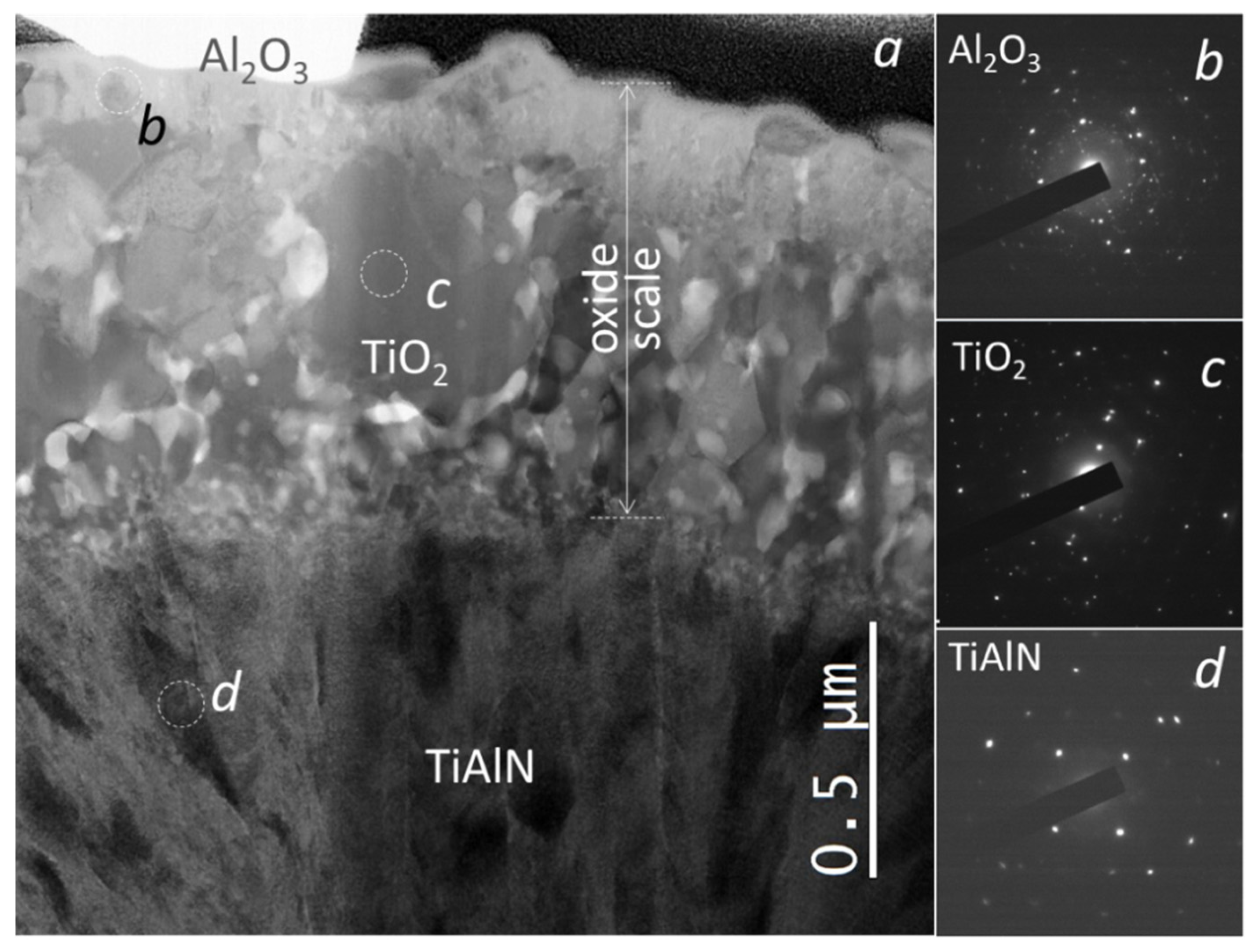 Coatings 11 00123 g017 Coatings 11 00123 g017