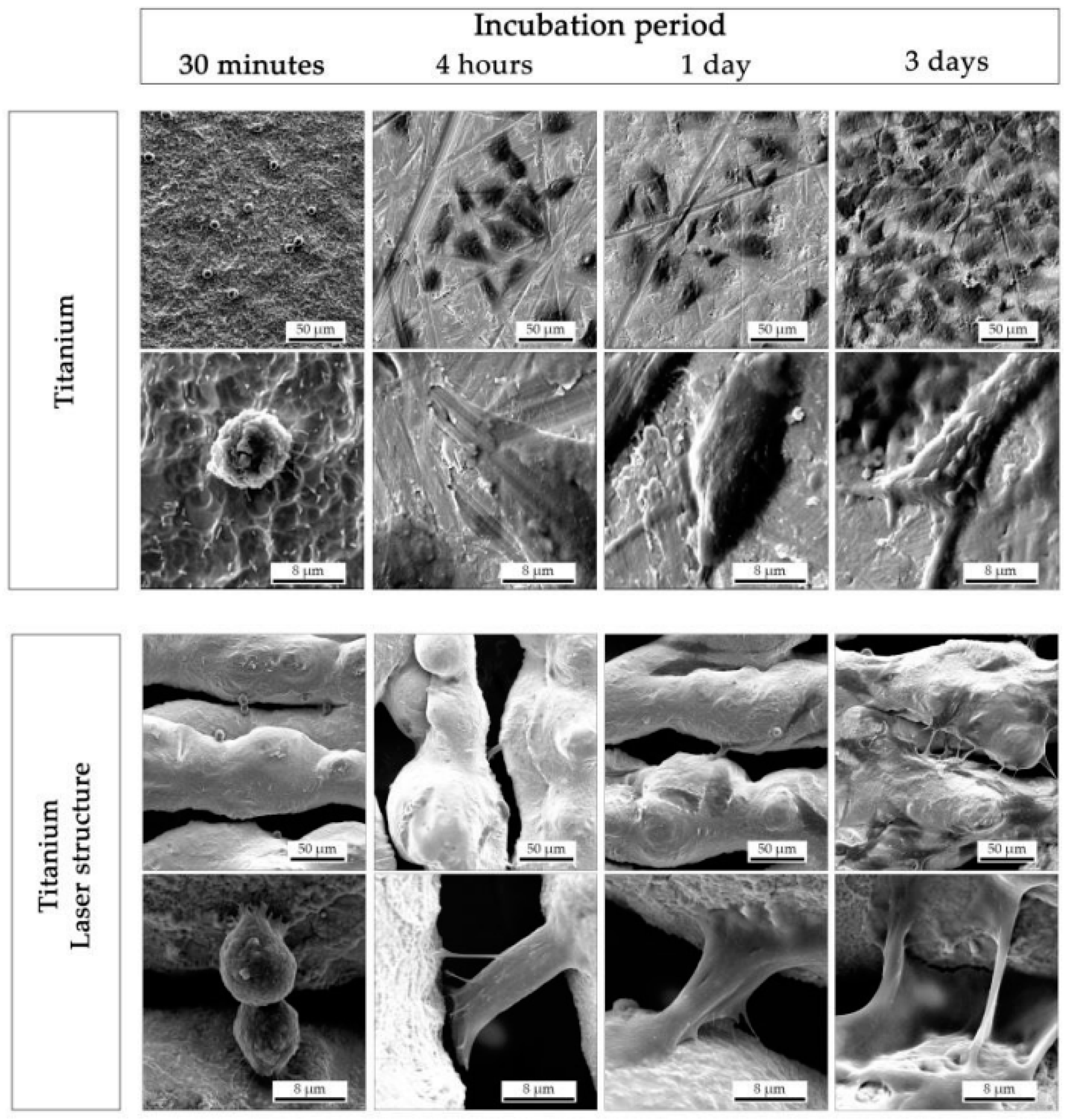 Coatings 11 00124 g004a Coatings 11 00124 g004a