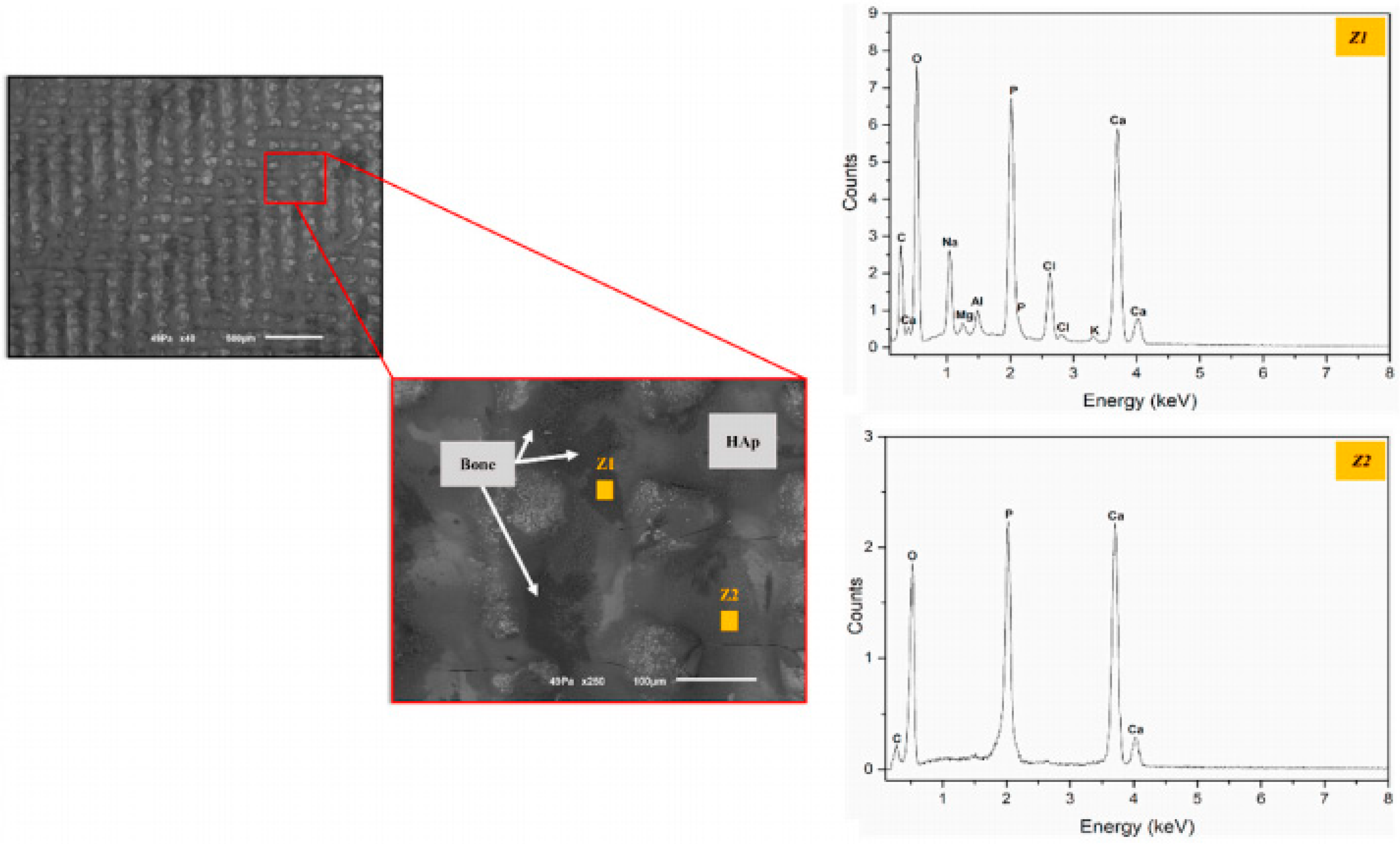 Coatings 11 00124 g005 Coatings 11 00124 g005
