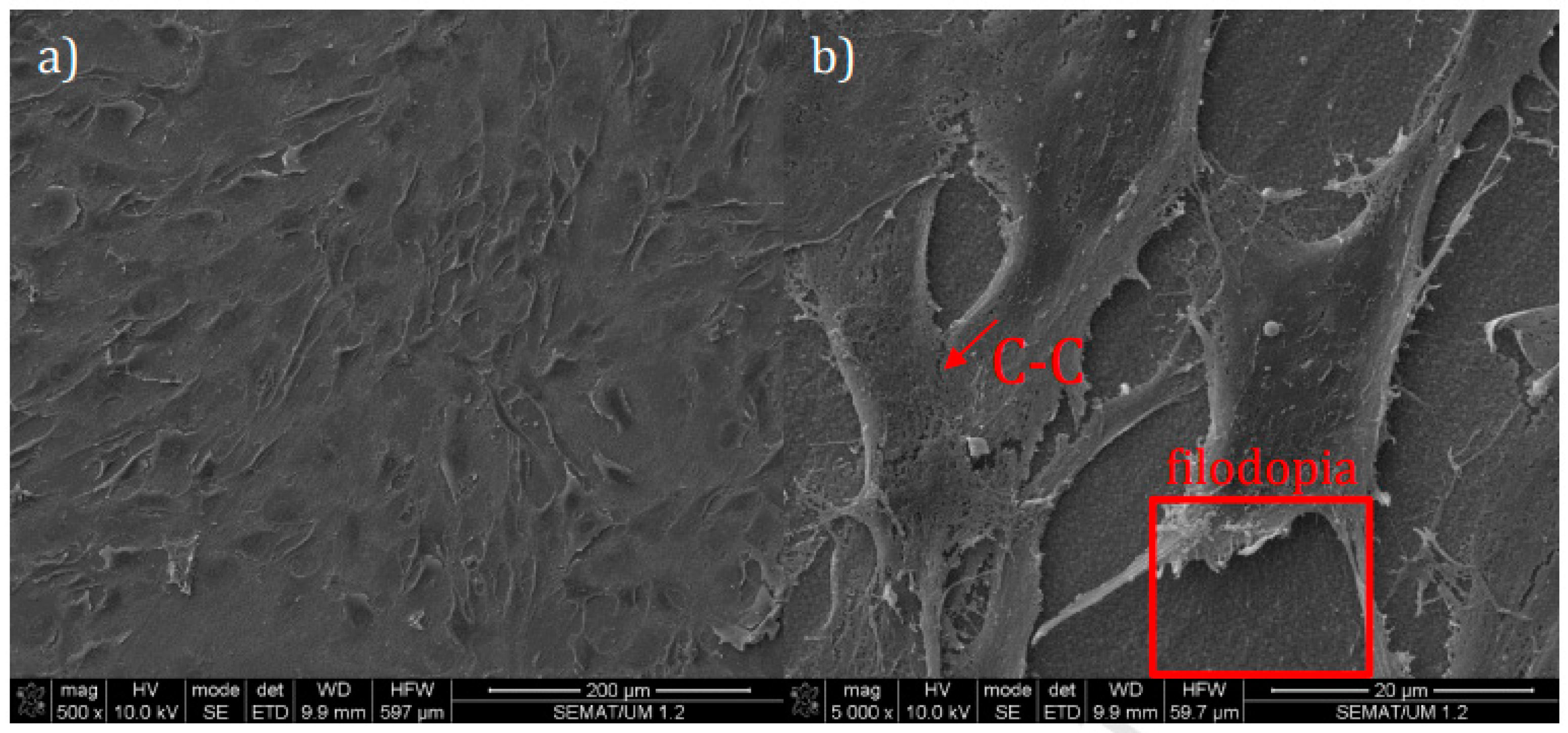 Coatings 11 00124 g006 Coatings 11 00124 g006