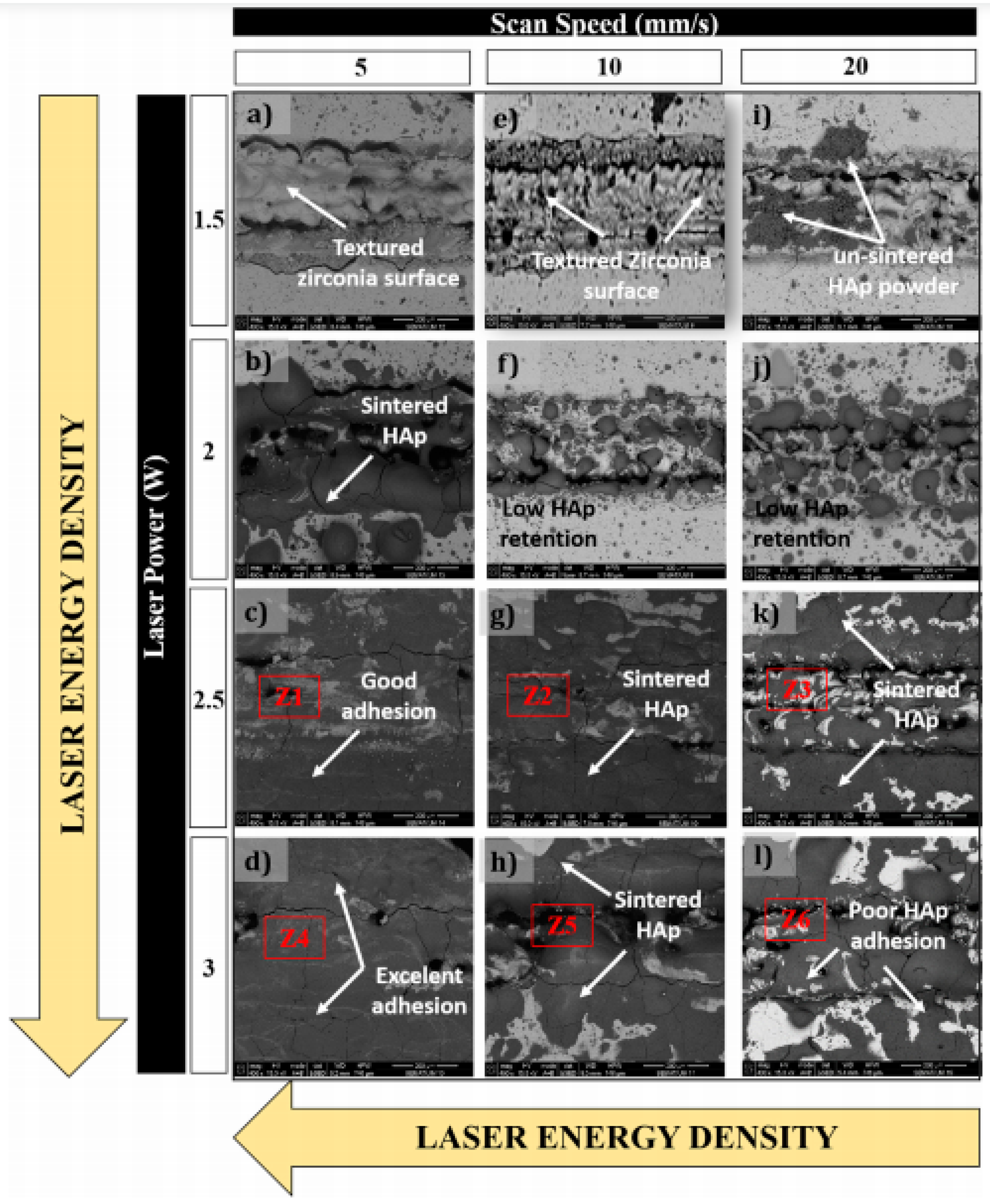 Coatings 11 00124 g007 Coatings 11 00124 g007