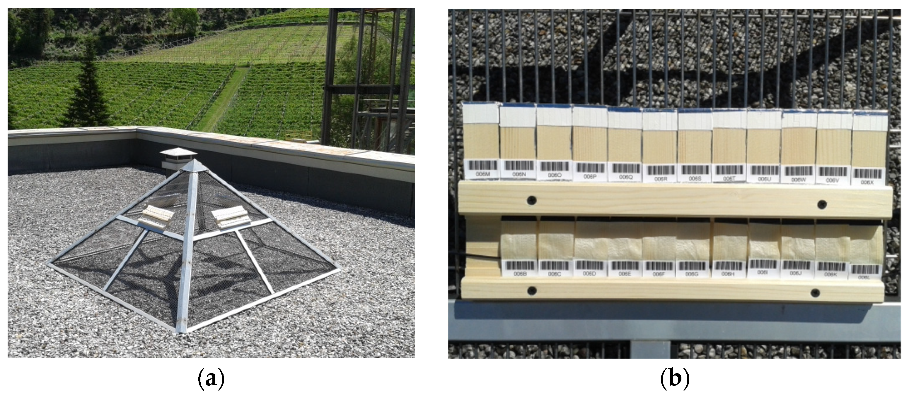 Coatings 11 00126 g001 Coatings 11 00126 g001