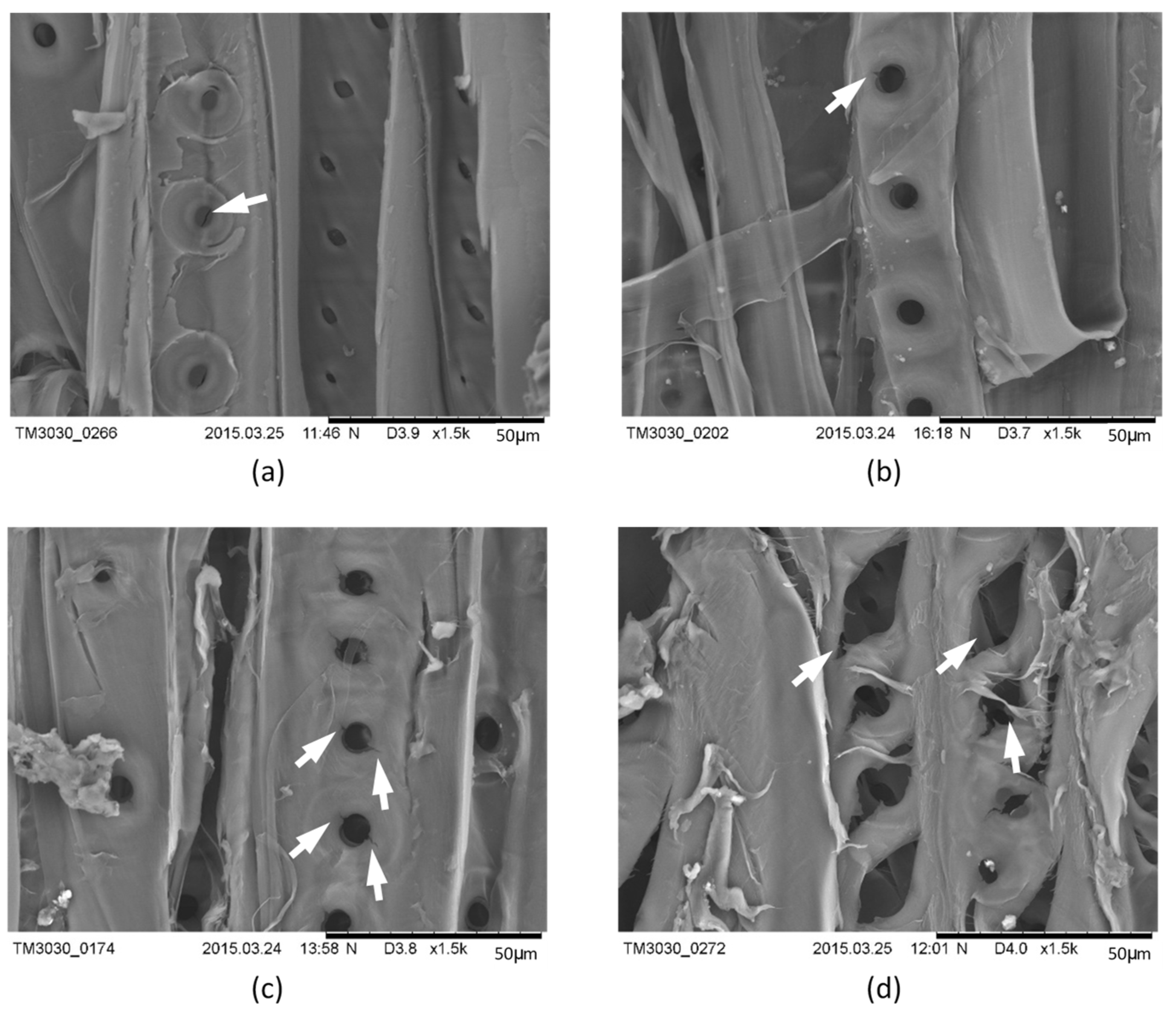 Coatings 11 00126 g005 Coatings 11 00126 g005