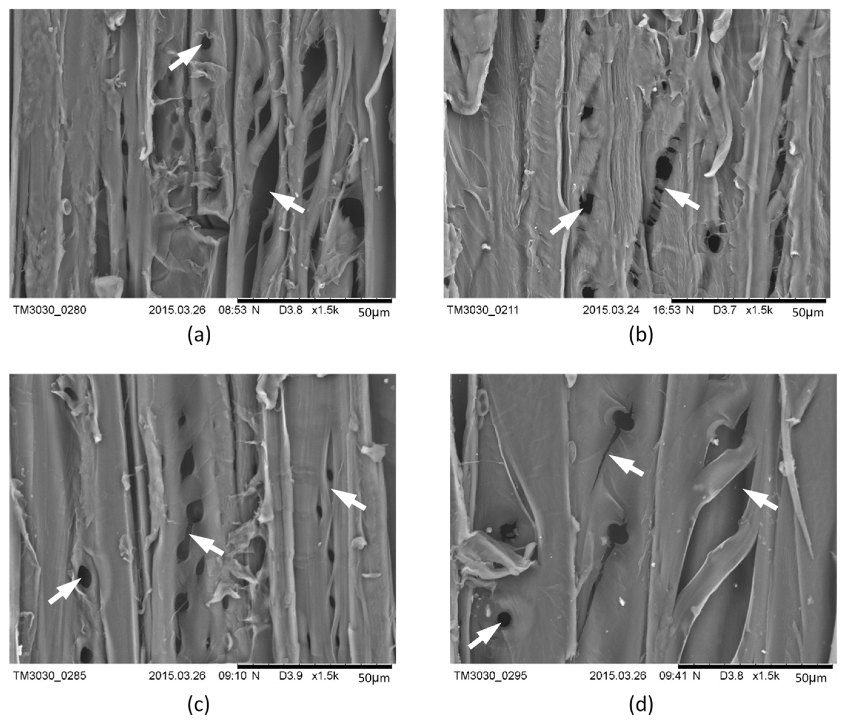 Coatings 11 00126 g006 Coatings 11 00126 g006