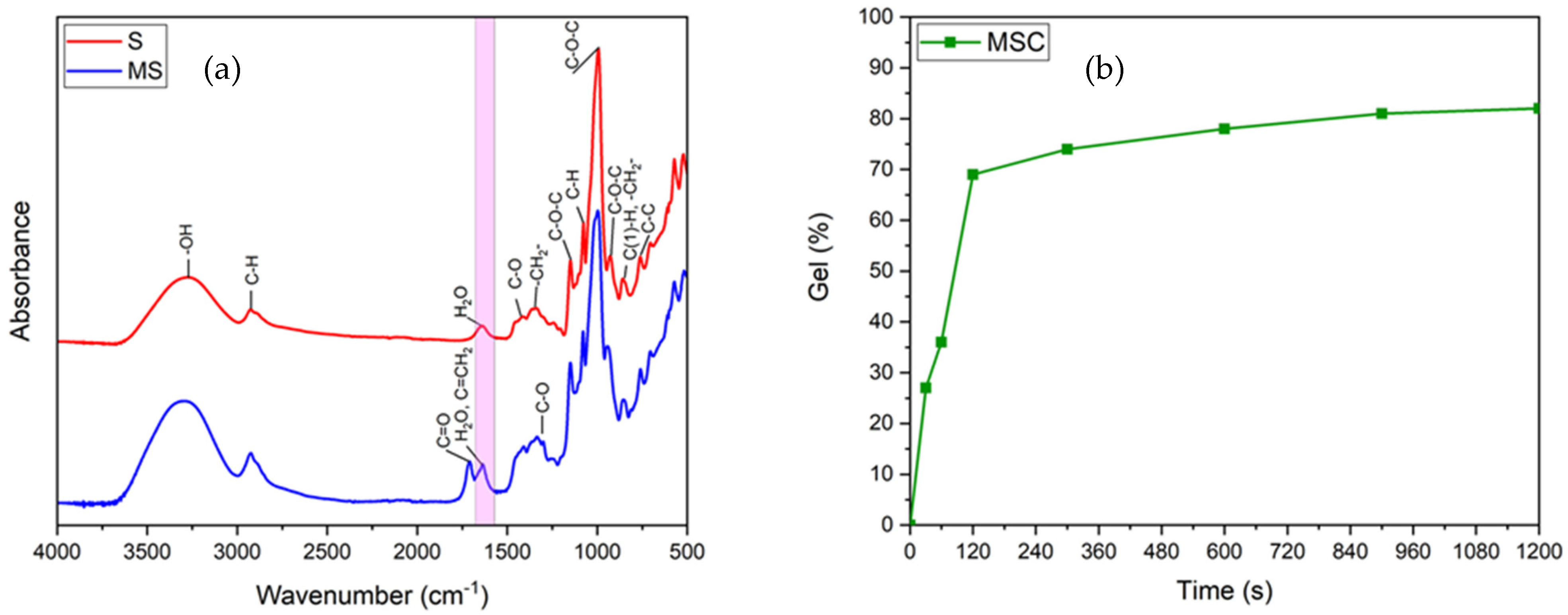 Coatings 11 00127 g001