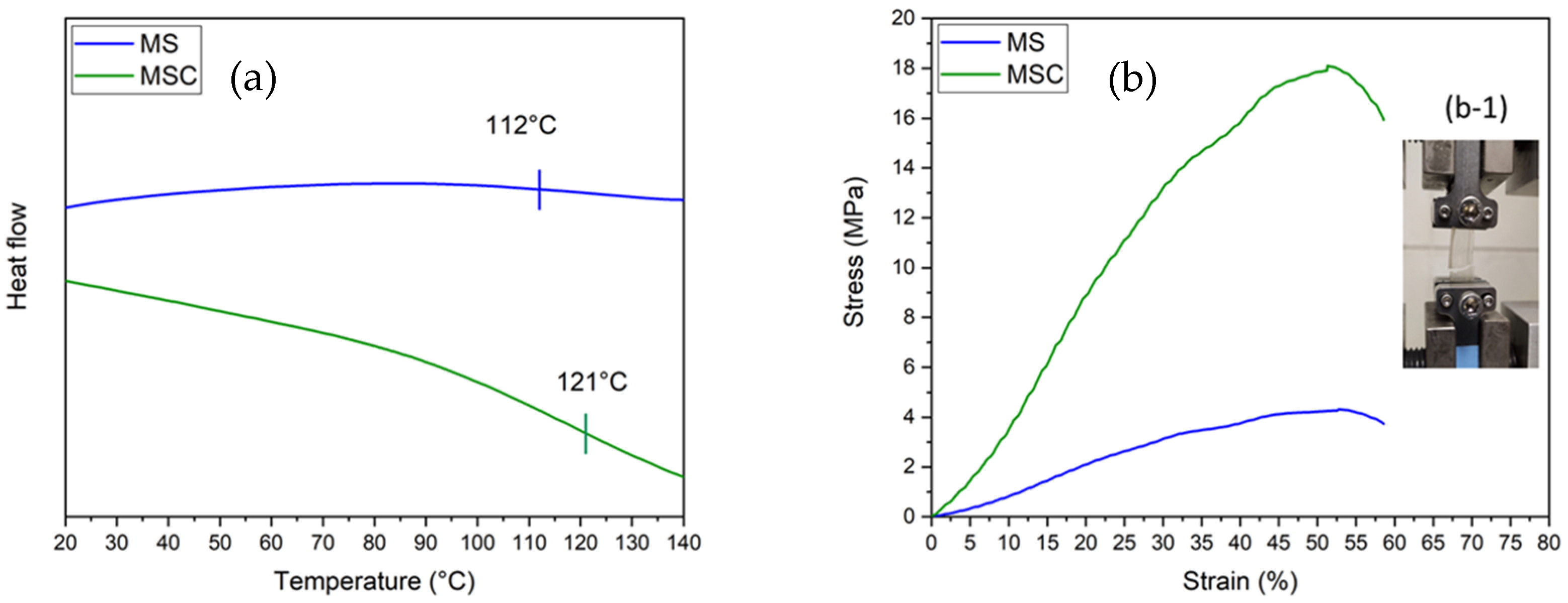 Coatings 11 00127 g002