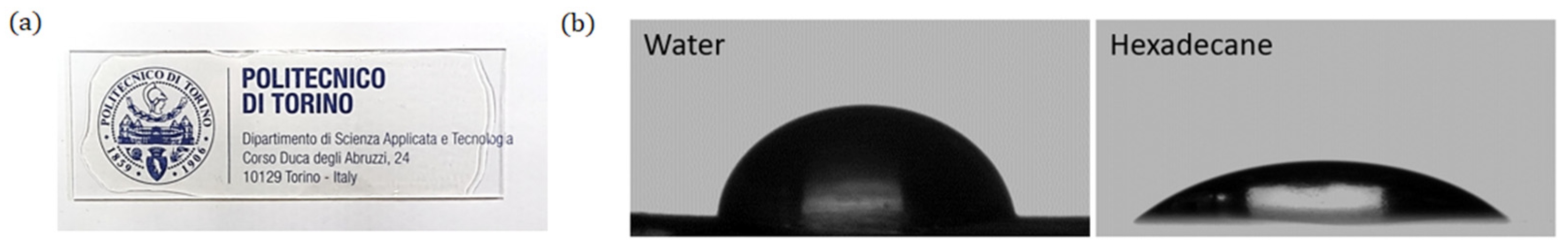 Coatings 11 00127 g003