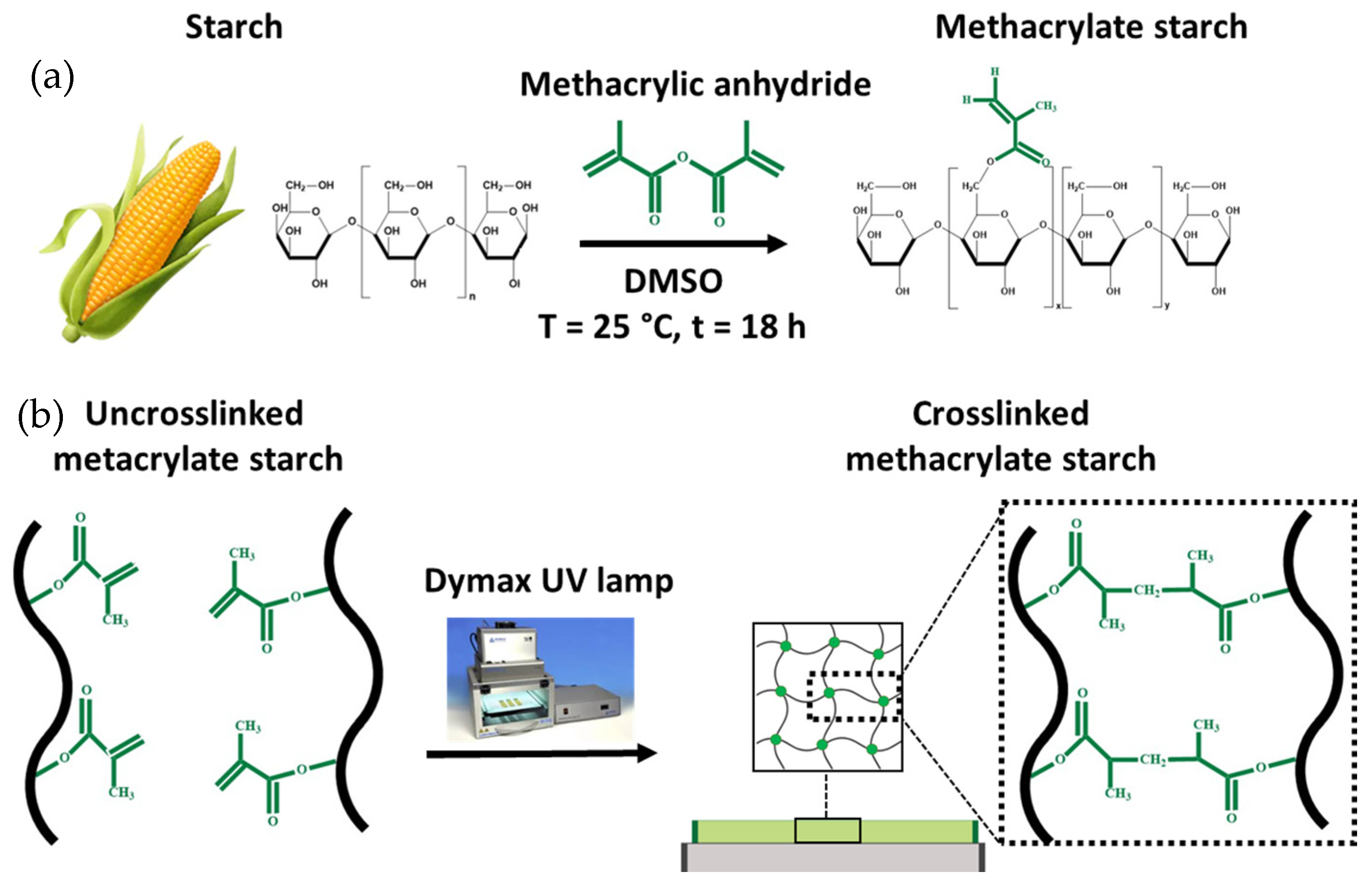 Coatings 11 00127 sch001