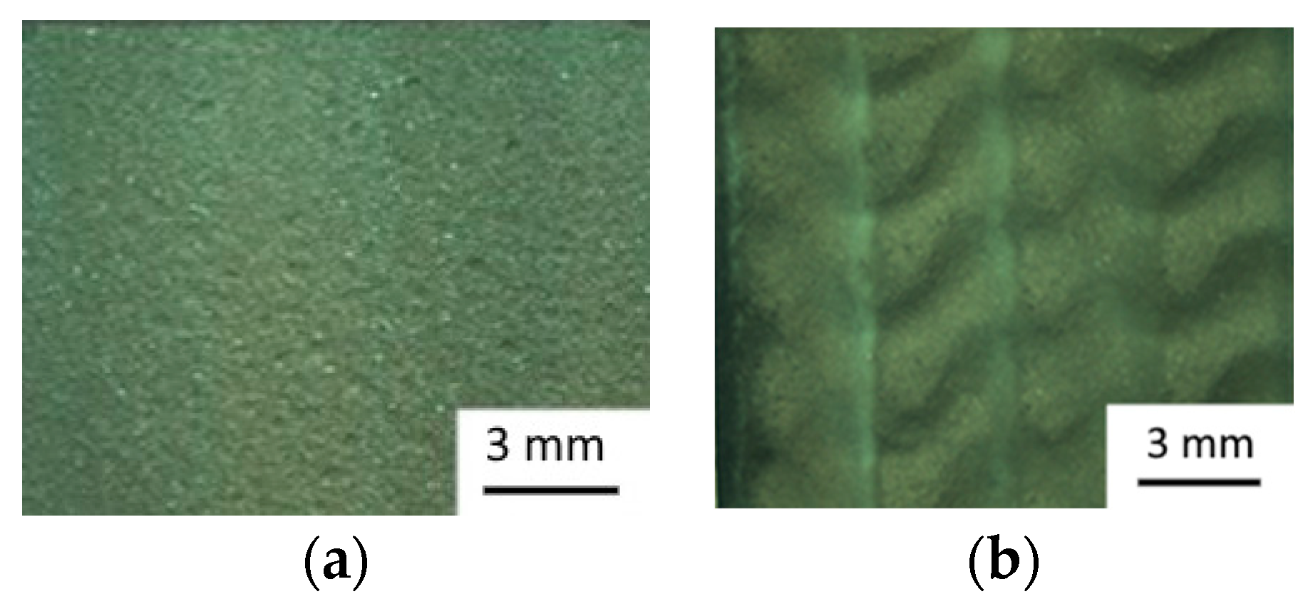 Coatings 11 00134 g004 Coatings 11 00134 g004