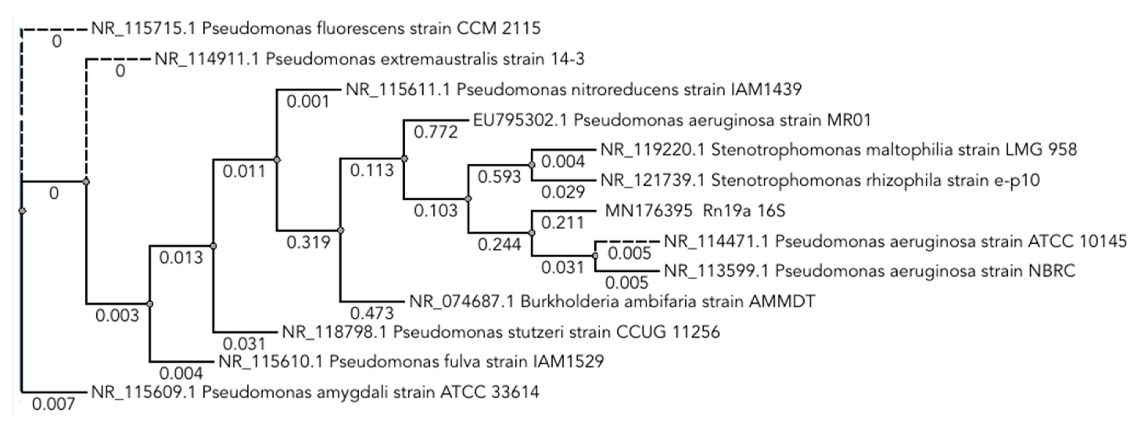 Coatings 11 00136 g002 Coatings 11 00136 g002
