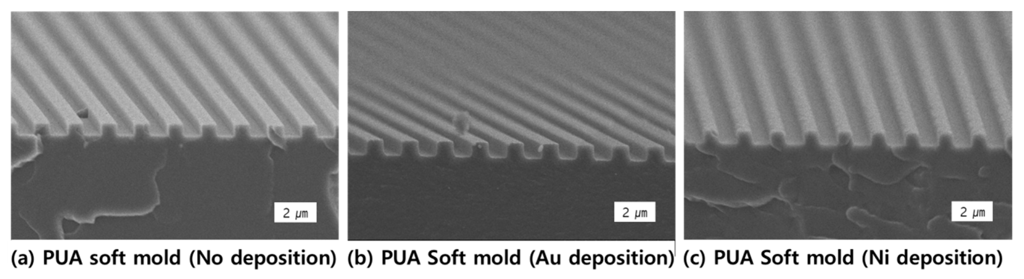 Coatings 11 00137 g002 Coatings 11 00137 g002