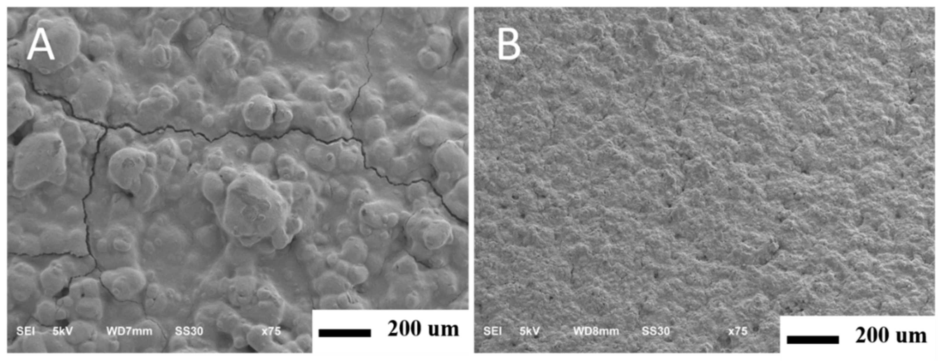 Coatings 11 00138 g005