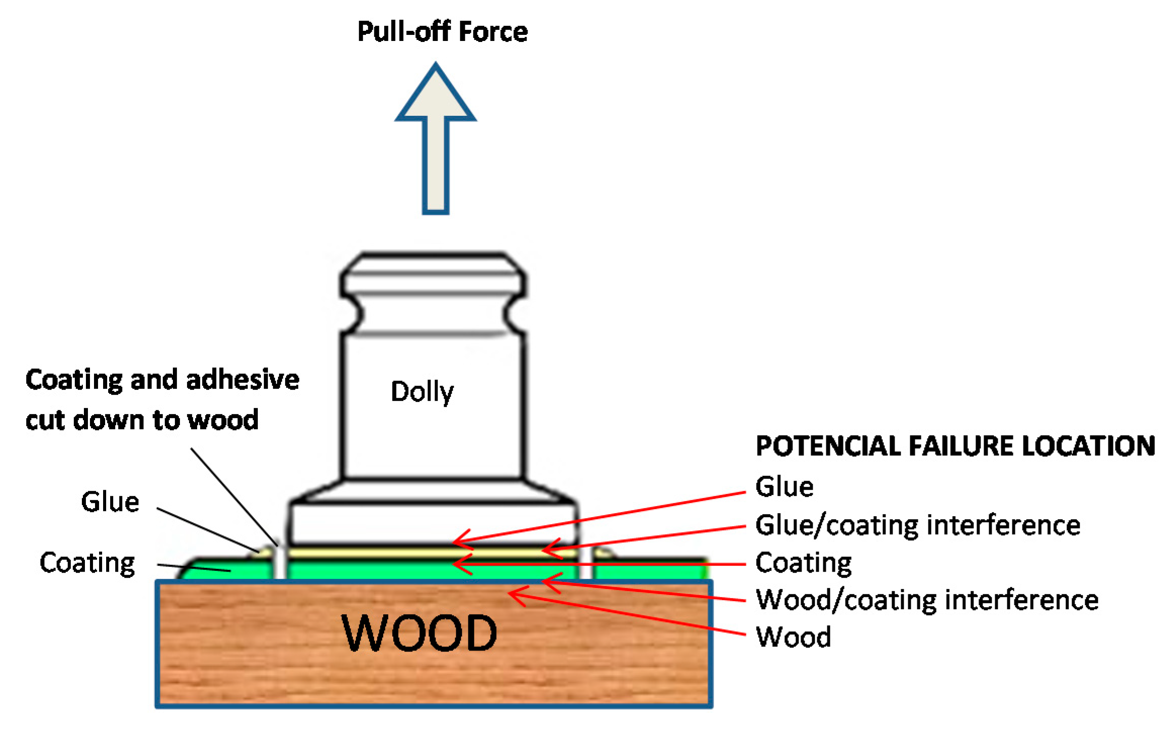 Coatings 11 00143 g001