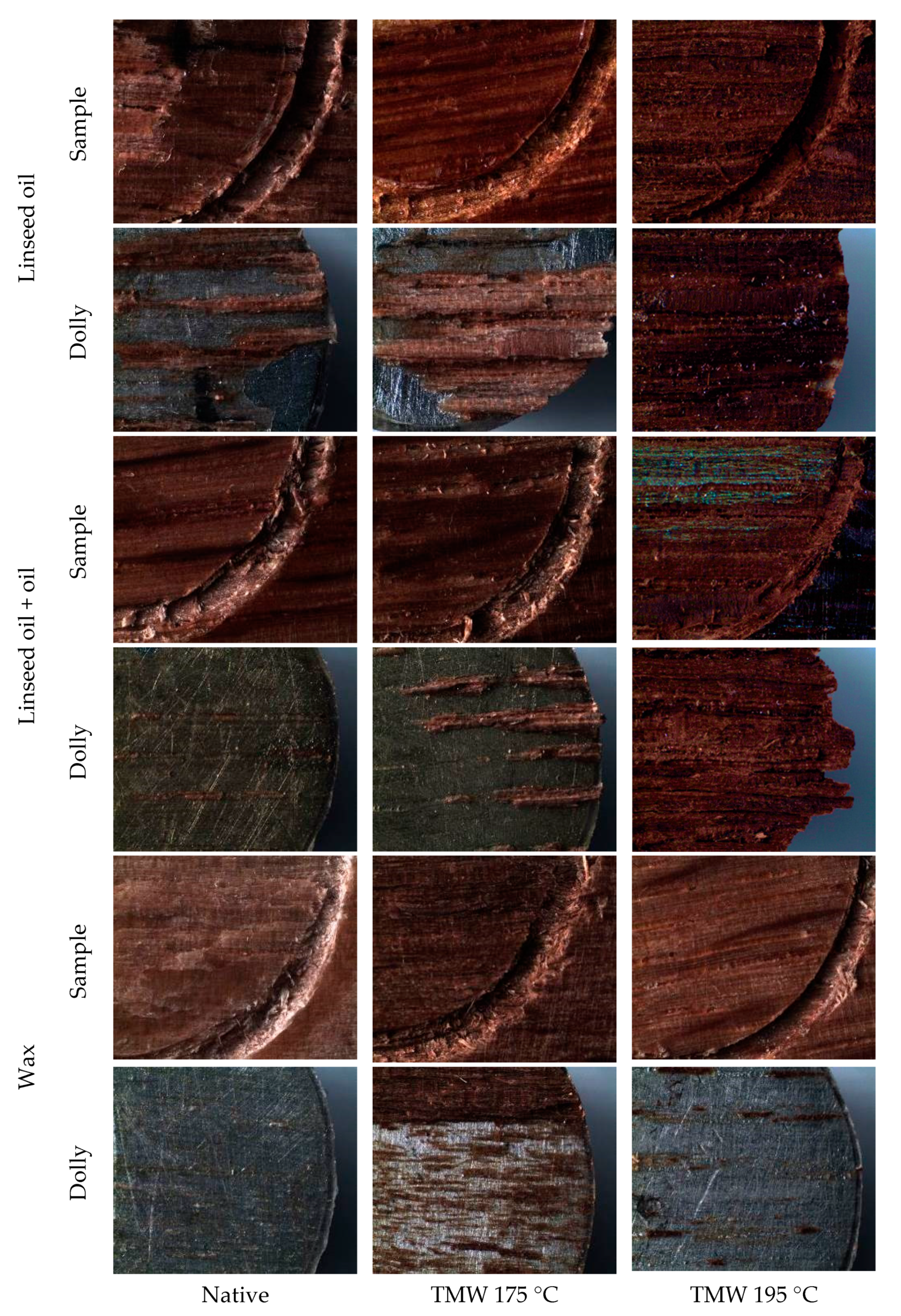 Coatings 11 00143 g003