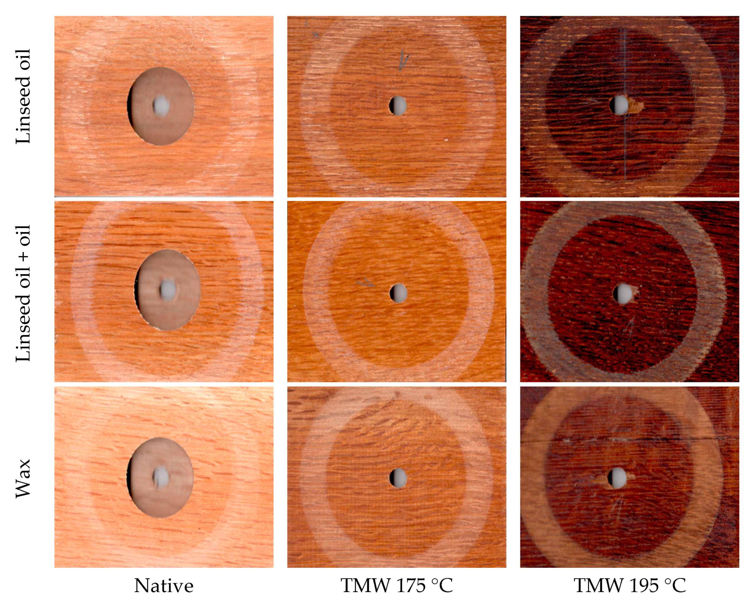 Coatings 11 00143 g006