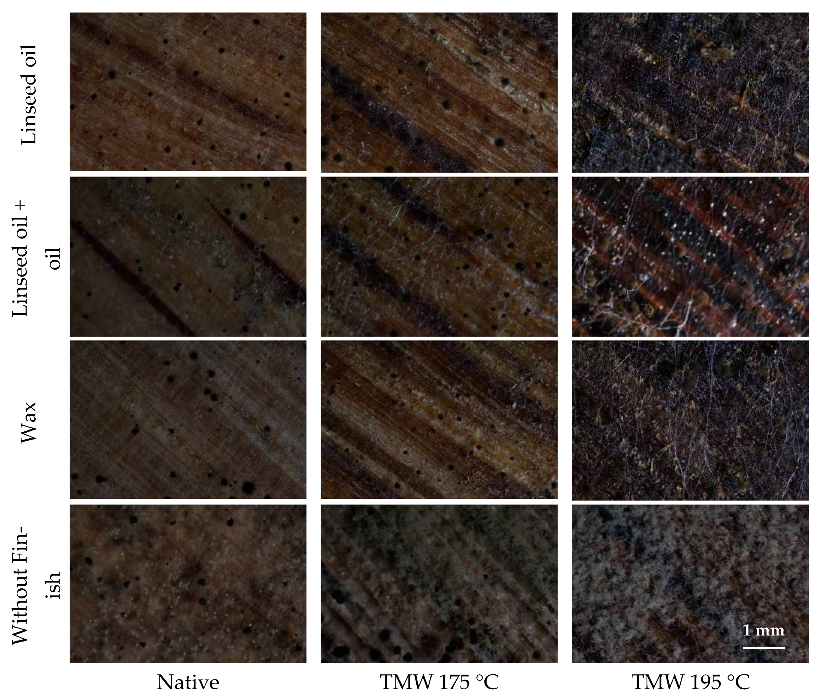 Coatings 11 00143 g011