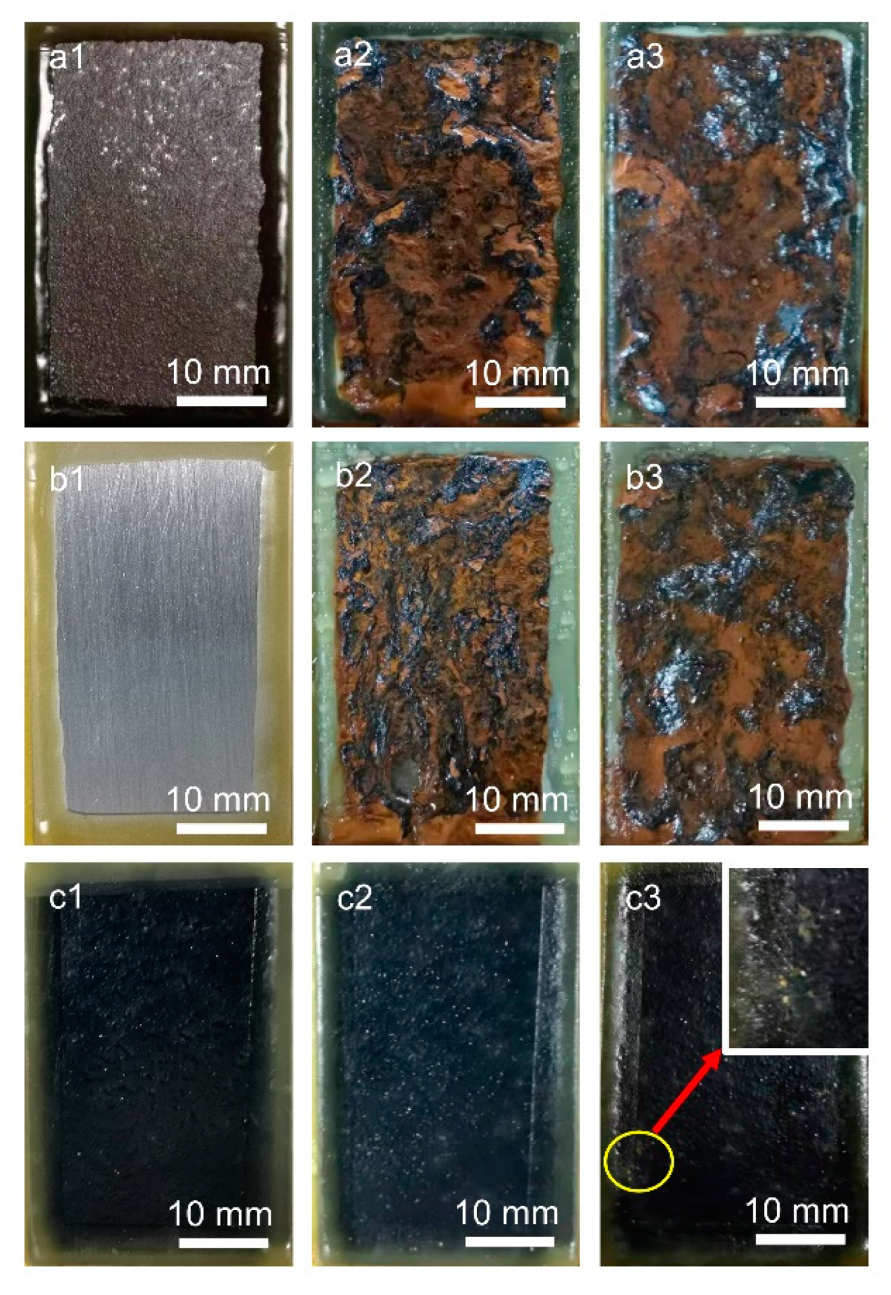 Coatings 11 00152 g005