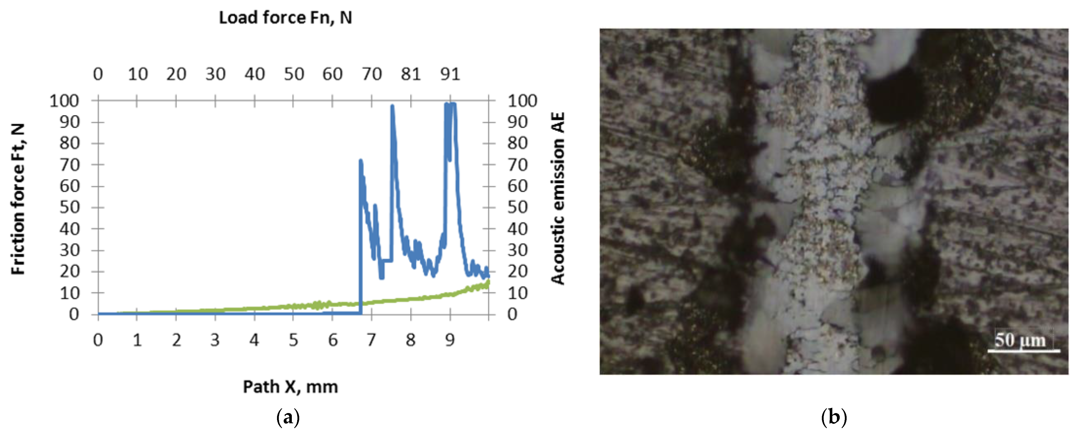 Coatings 11 00157 g003