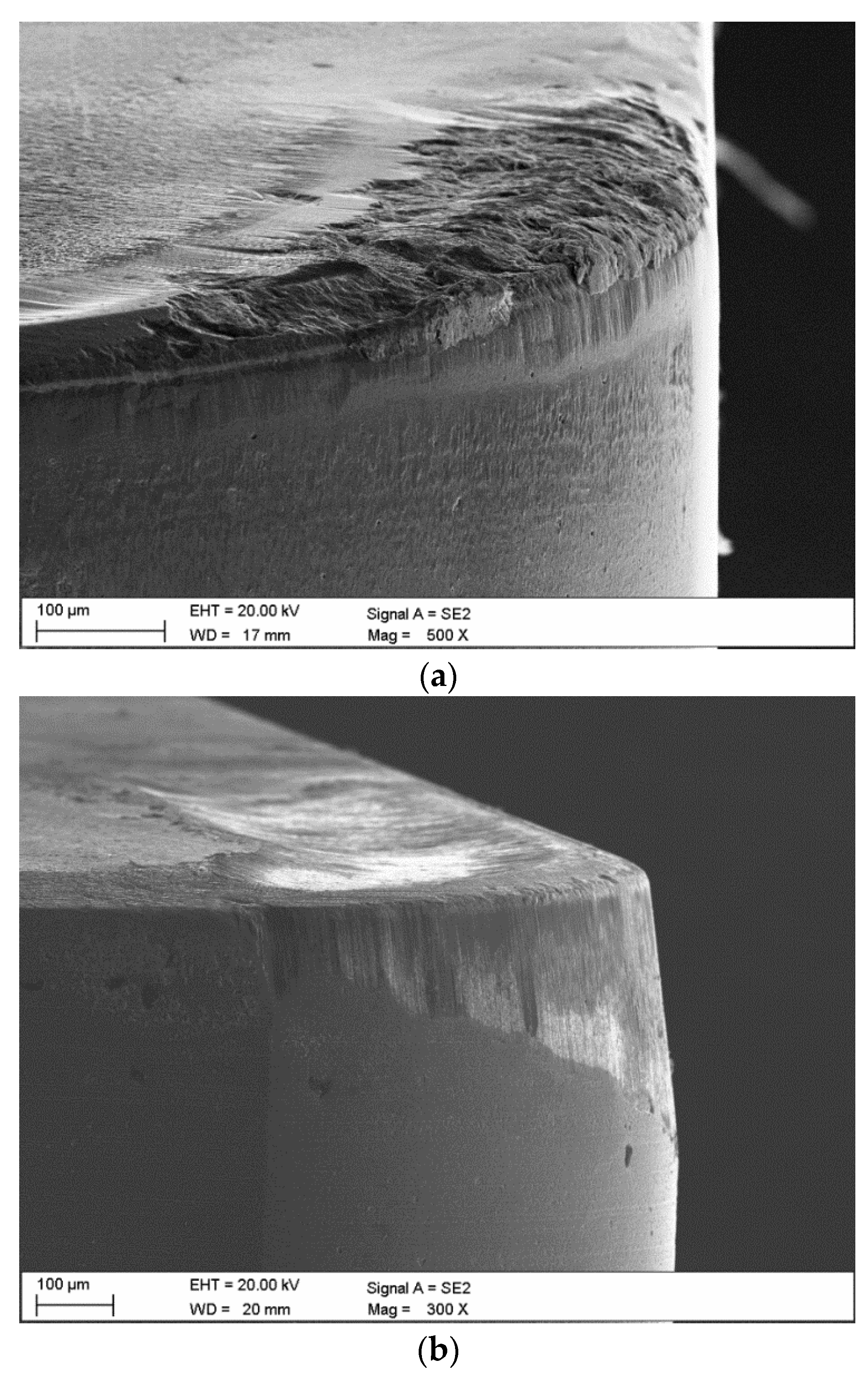 Coatings 11 00157 g006a