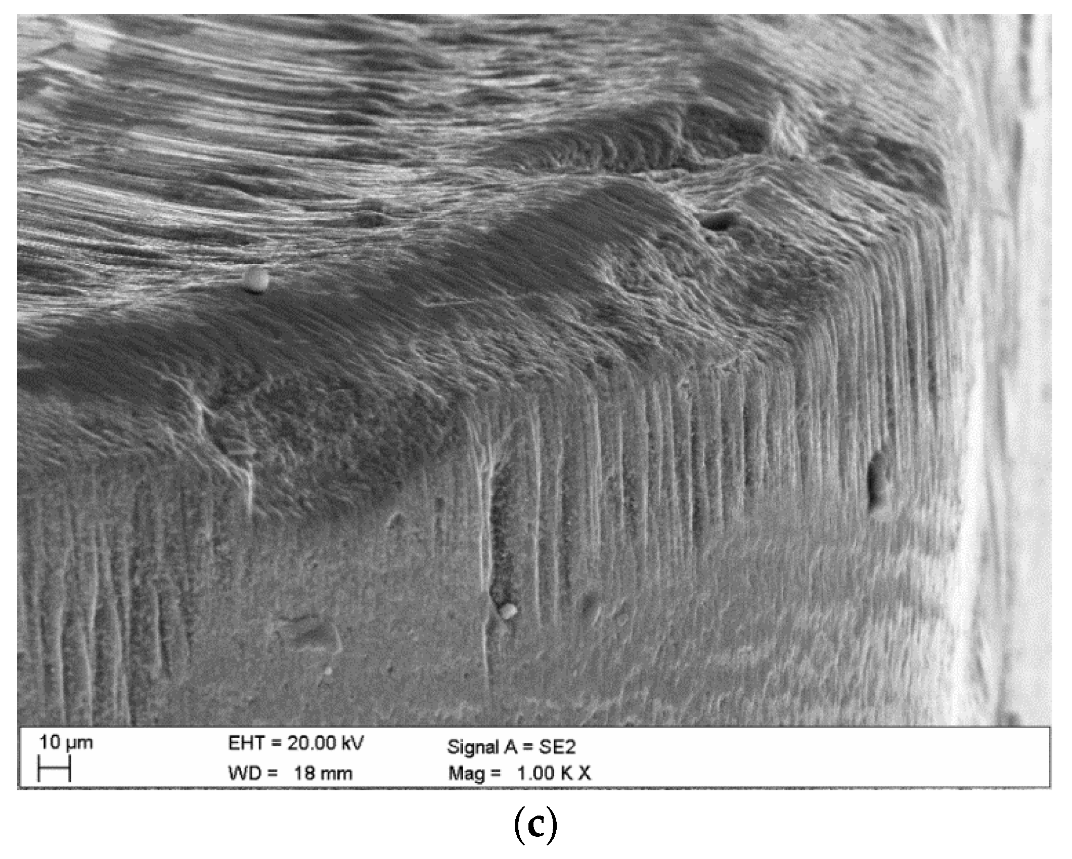 Coatings 11 00157 g006b