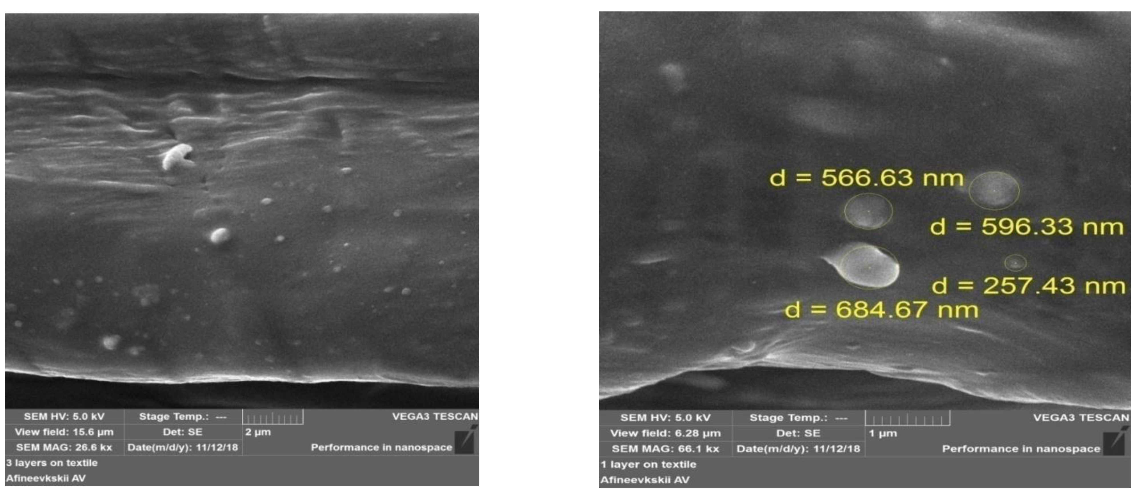 Coatings 11 00159 g001 Coatings 11 00159 g001