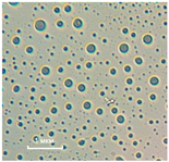 Coatings 11 00159 i002 Coatings 11 00159 i002