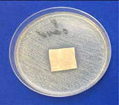 Coatings 11 00159 i006 Coatings 11 00159 i006