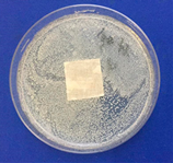 Coatings 11 00159 i007 Coatings 11 00159 i007