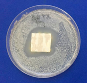 Coatings 11 00159 i008 Coatings 11 00159 i008