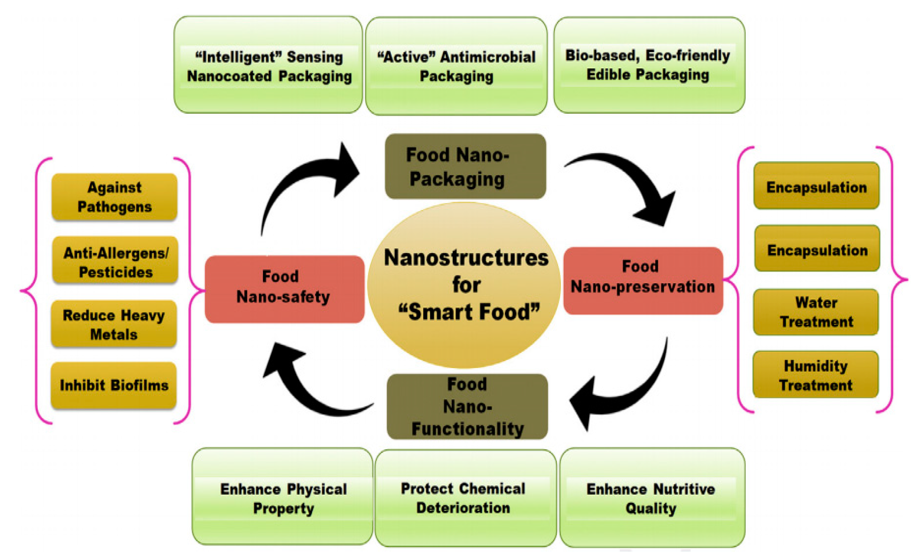 Coatings 11 00161 g001