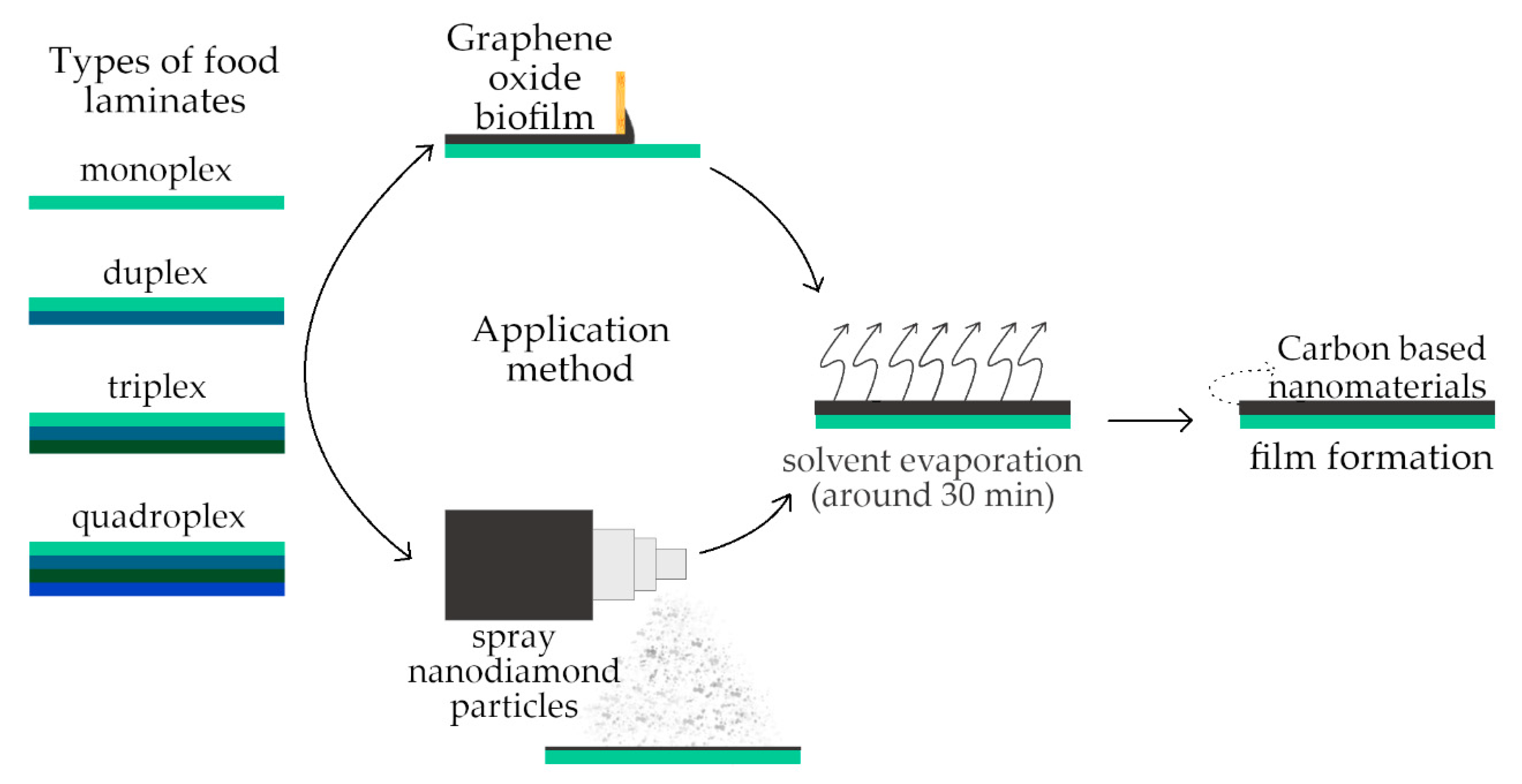 Coatings 11 00161 g002