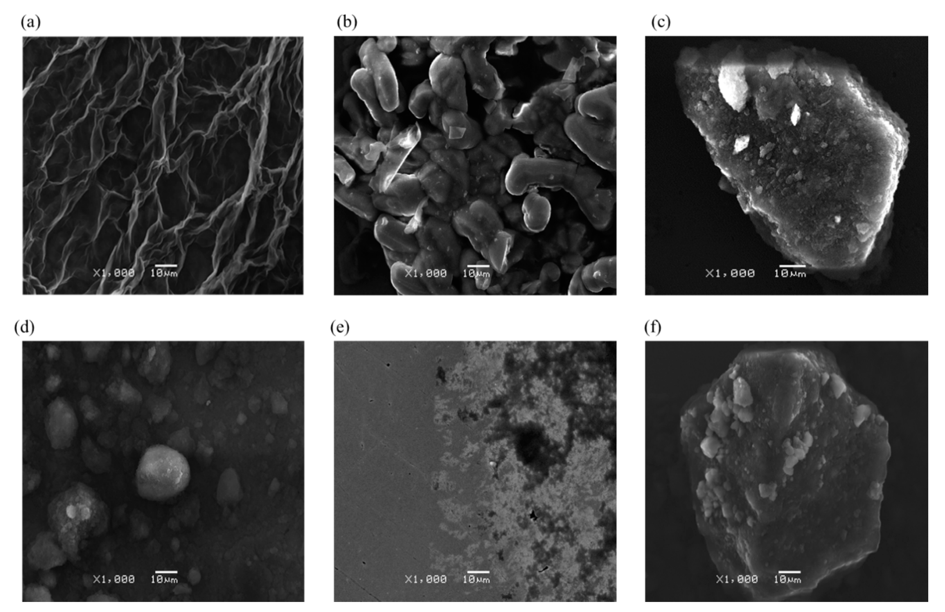 Coatings 11 00161 g004