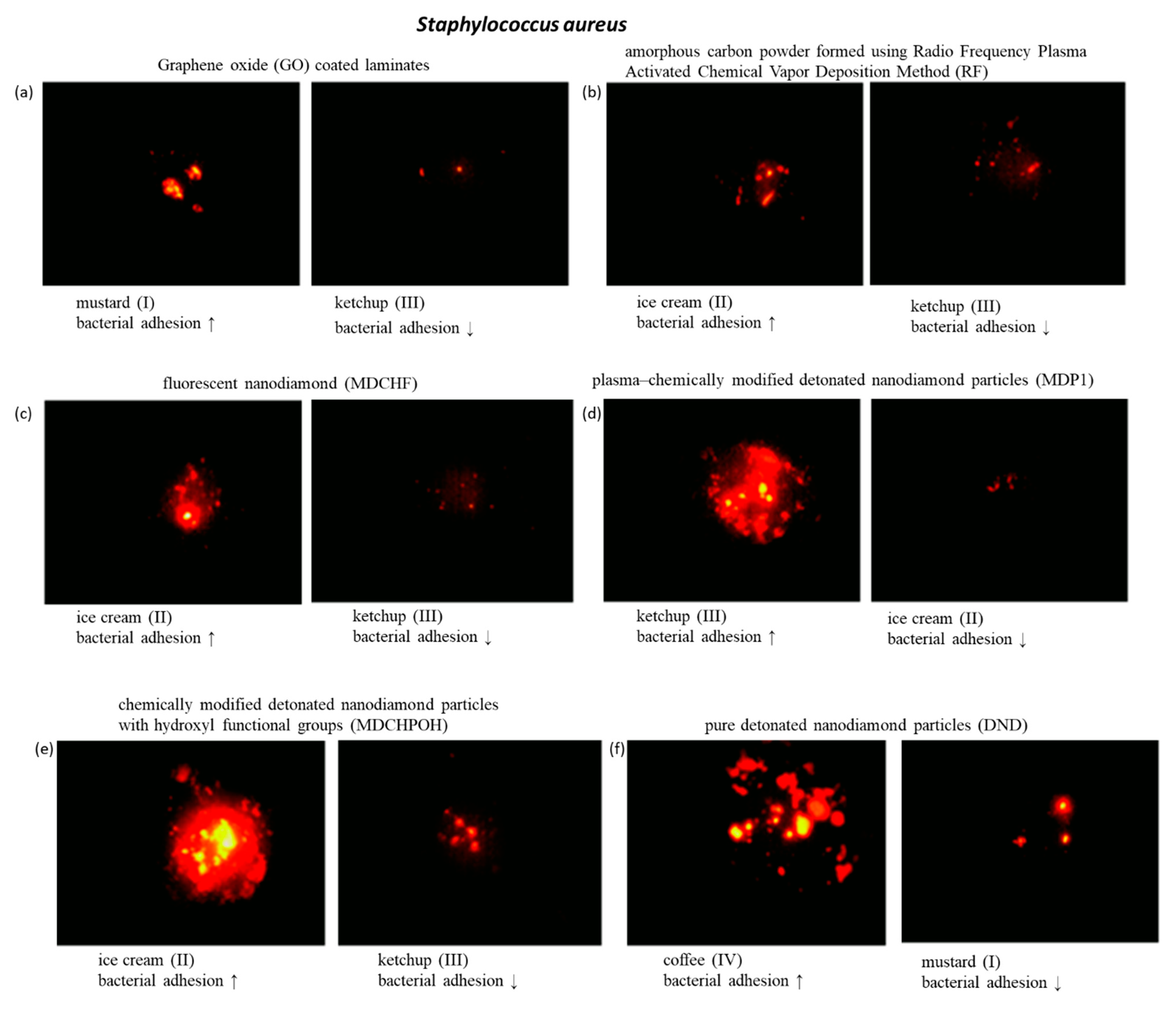 Coatings 11 00161 g013