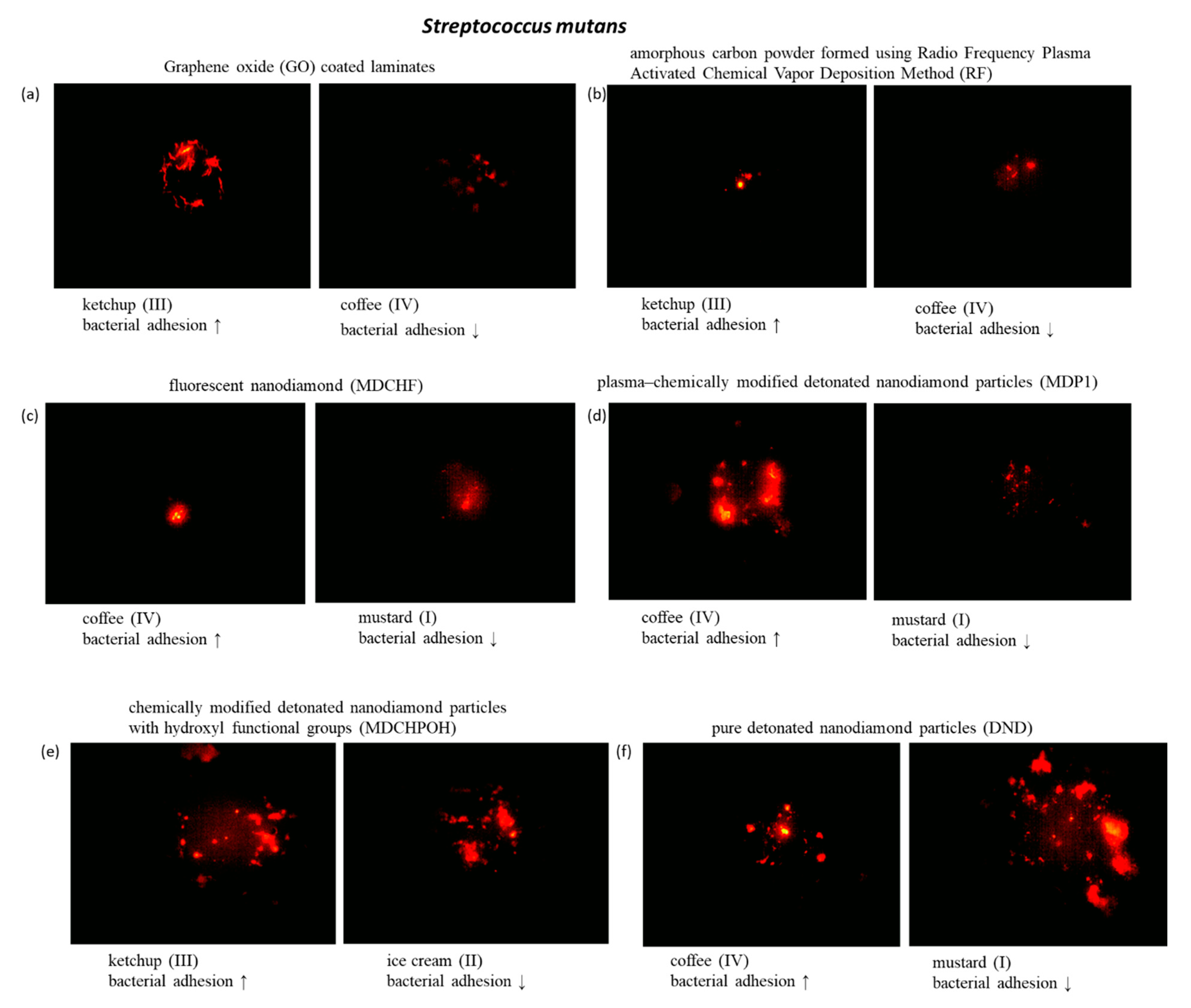 Coatings 11 00161 g014