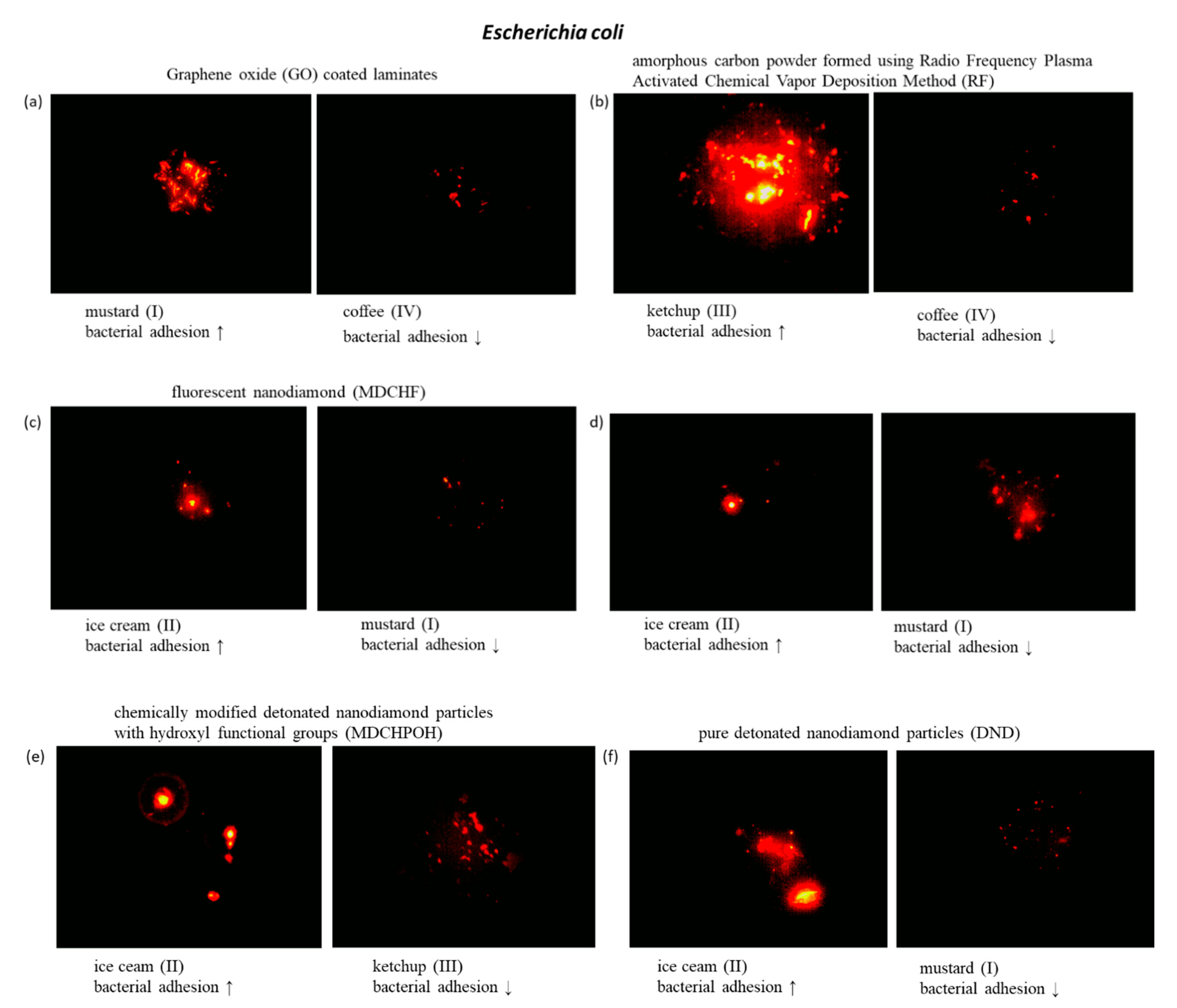 Coatings 11 00161 g016