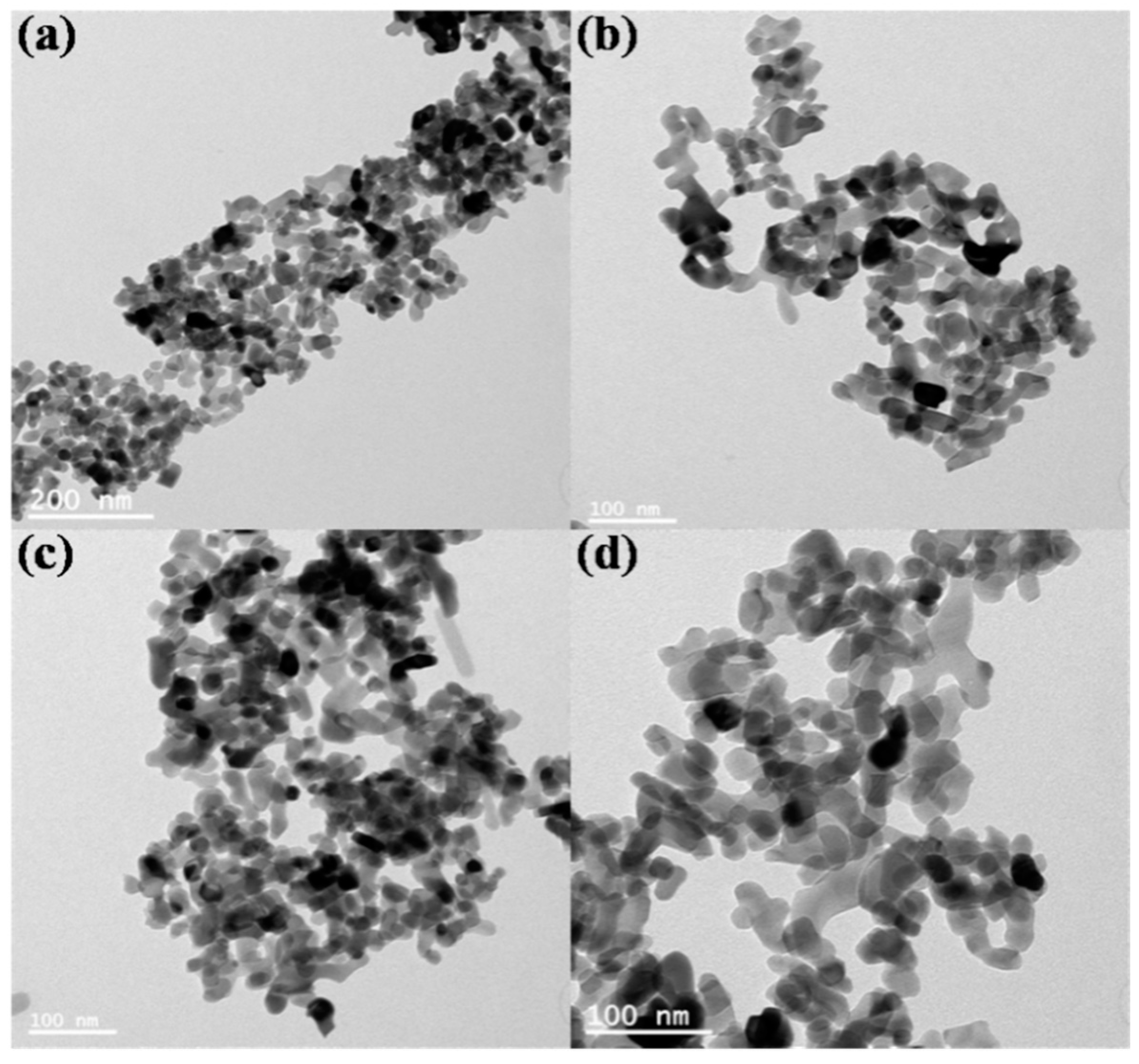 Coatings 11 00165 g004 Coatings 11 00165 g004
