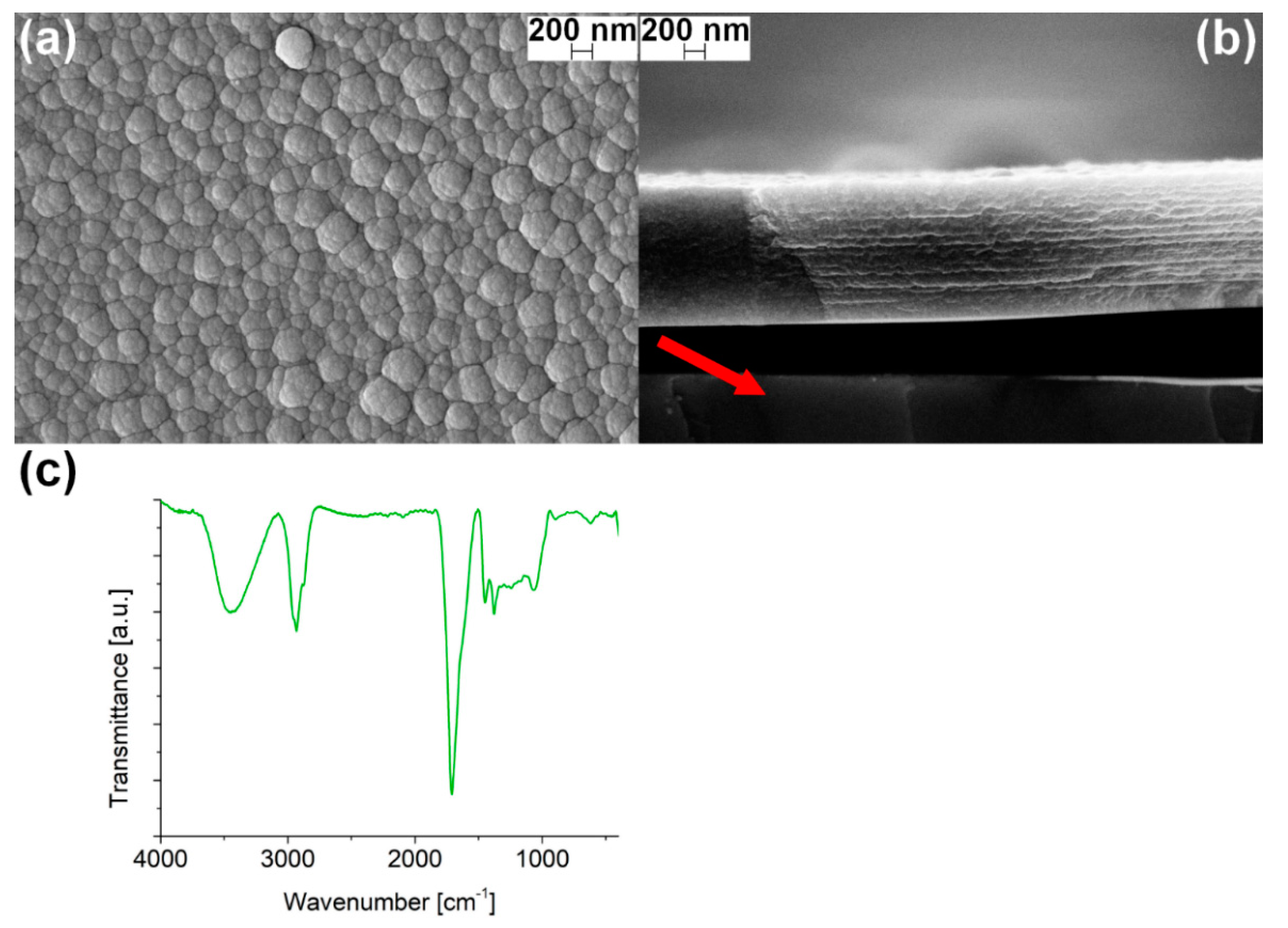 Coatings 11 00167 g004 Coatings 11 00167 g004
