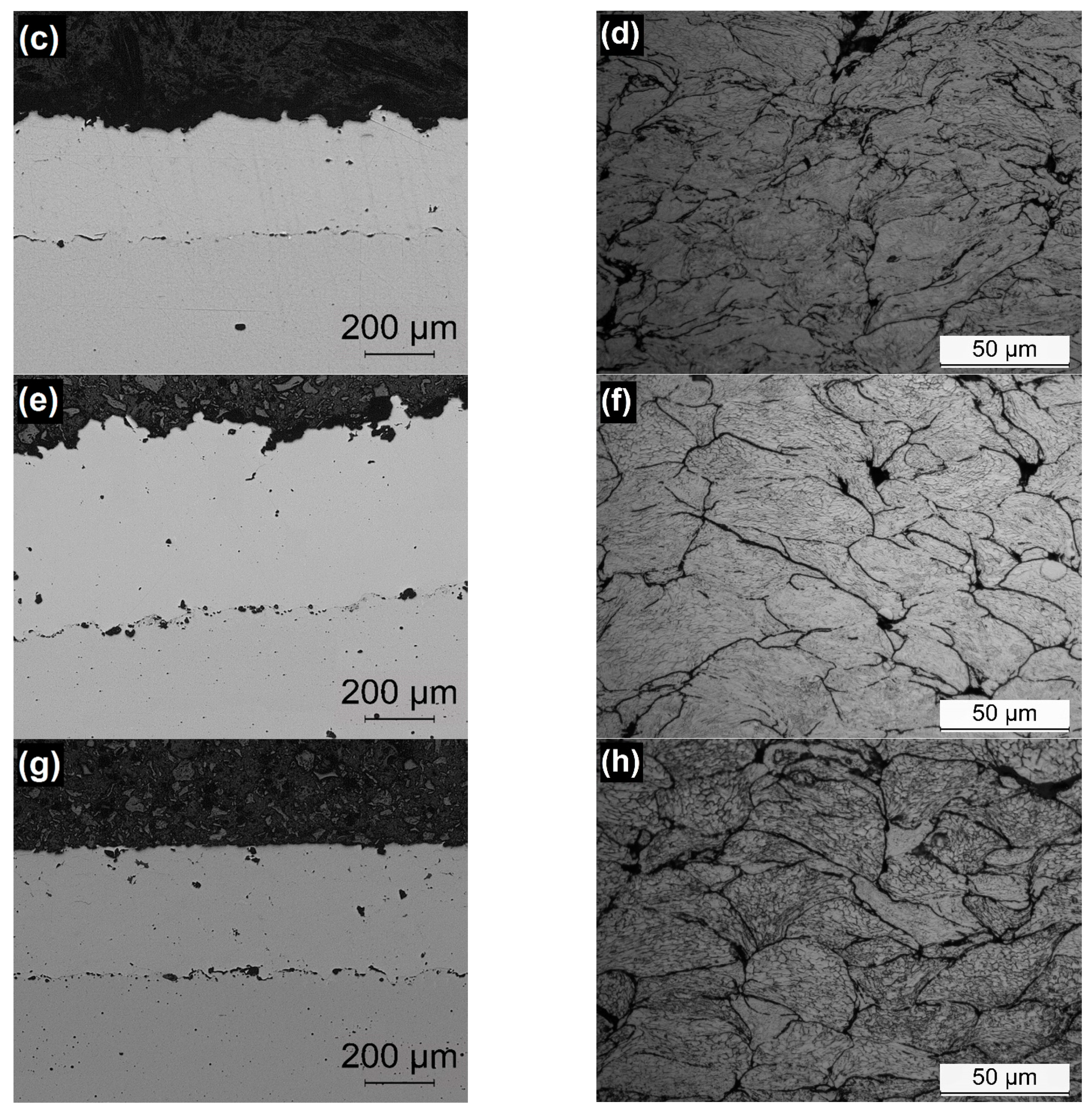 Coatings 11 00168 g005b