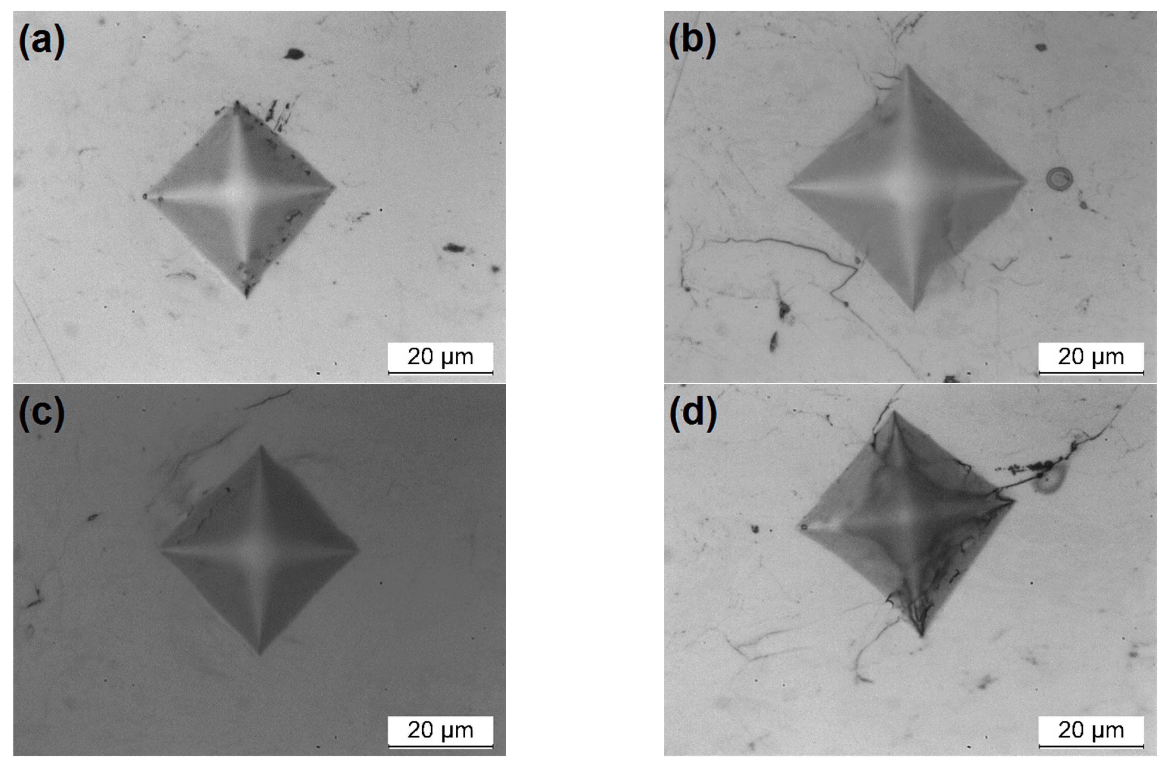 Coatings 11 00168 g007