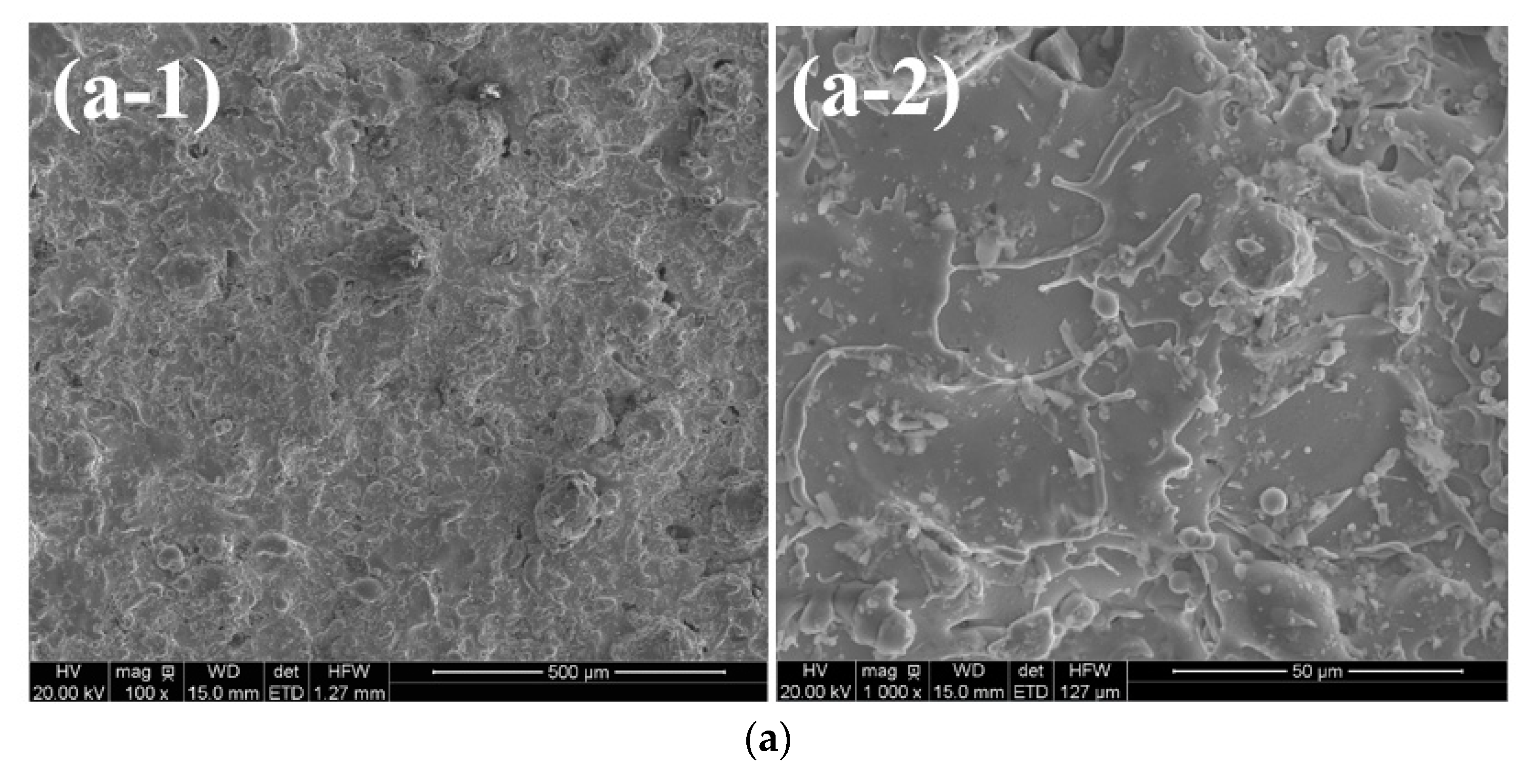 Coatings 11 00170 g004a