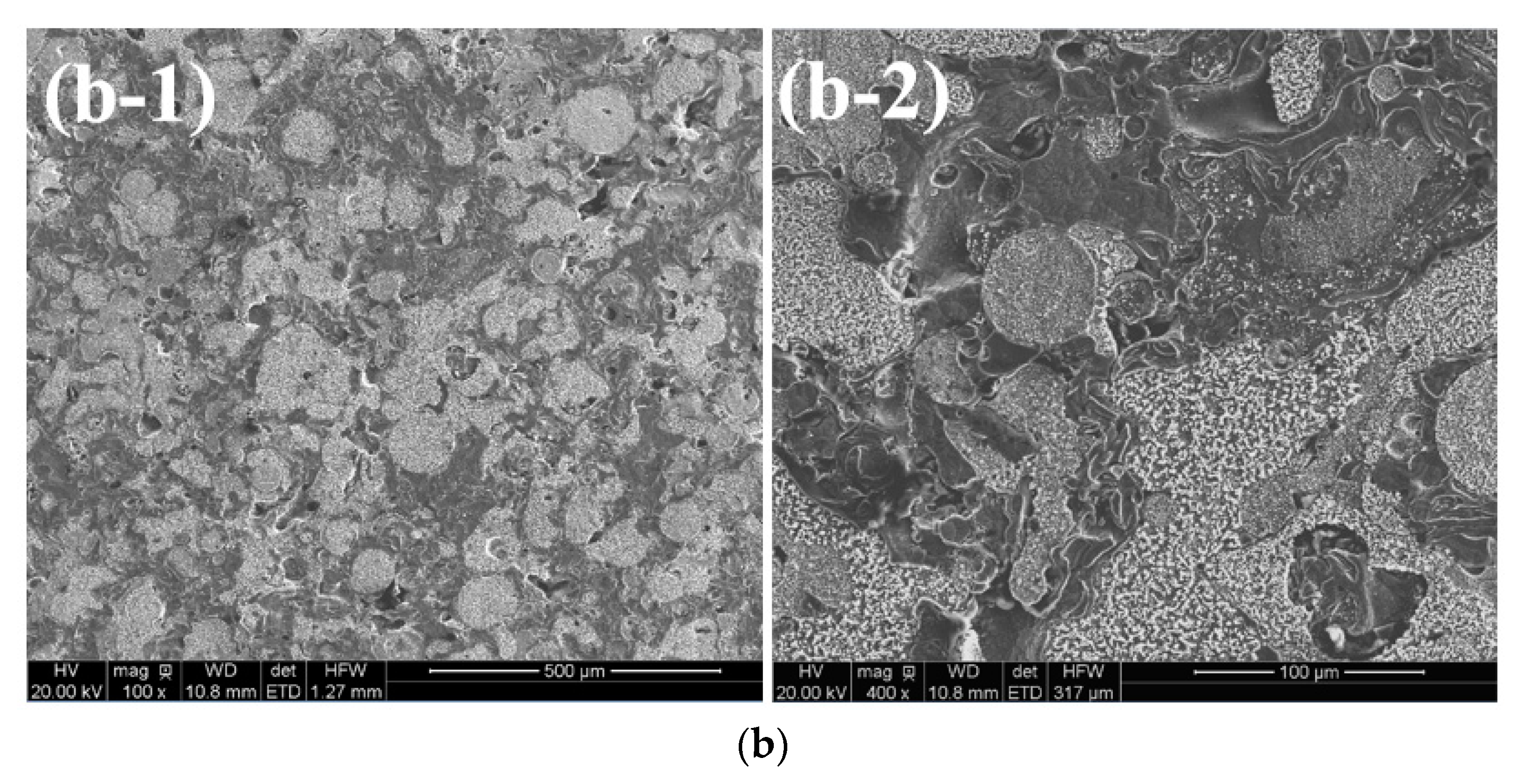 Coatings 11 00170 g004b