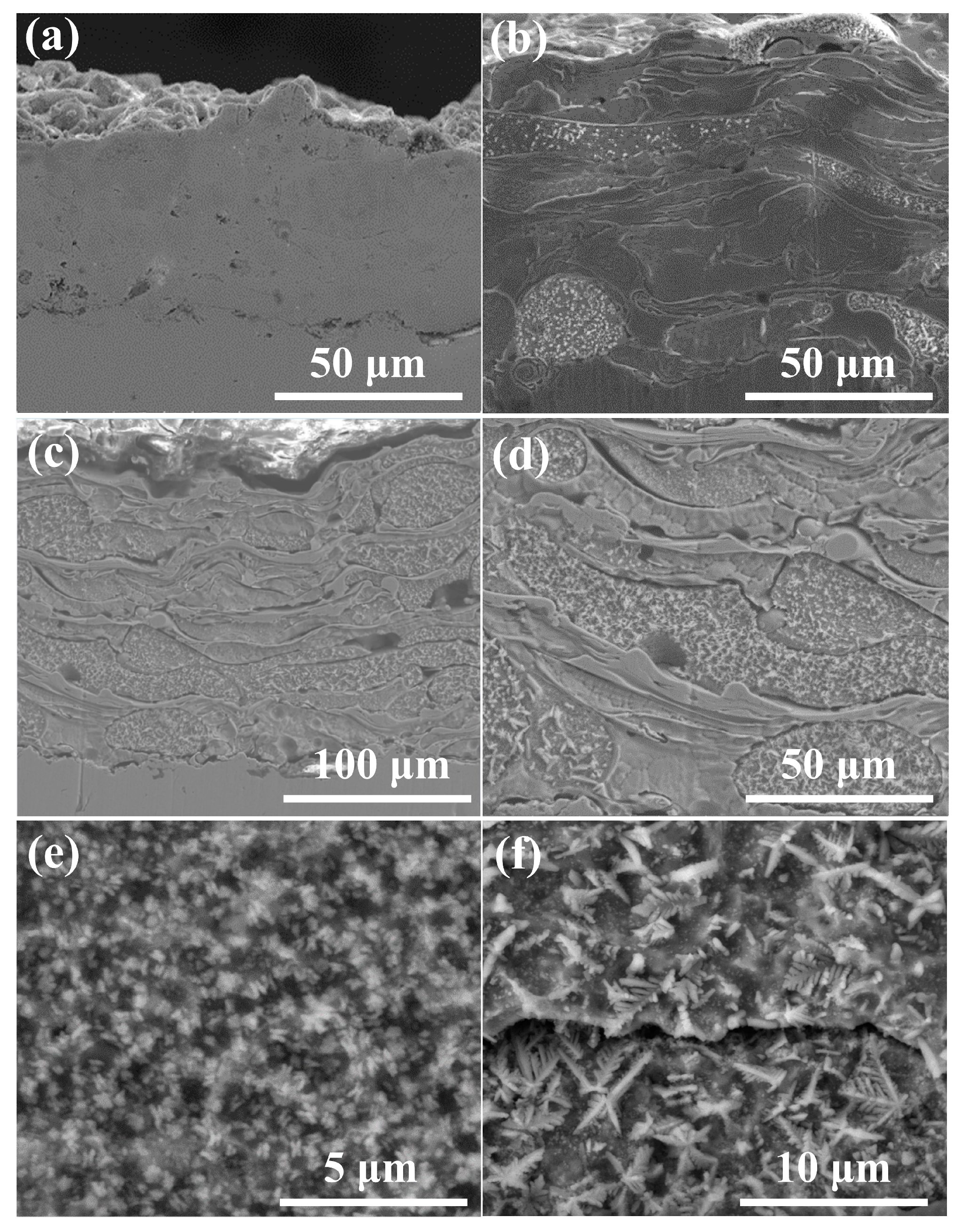 Coatings 11 00170 g006