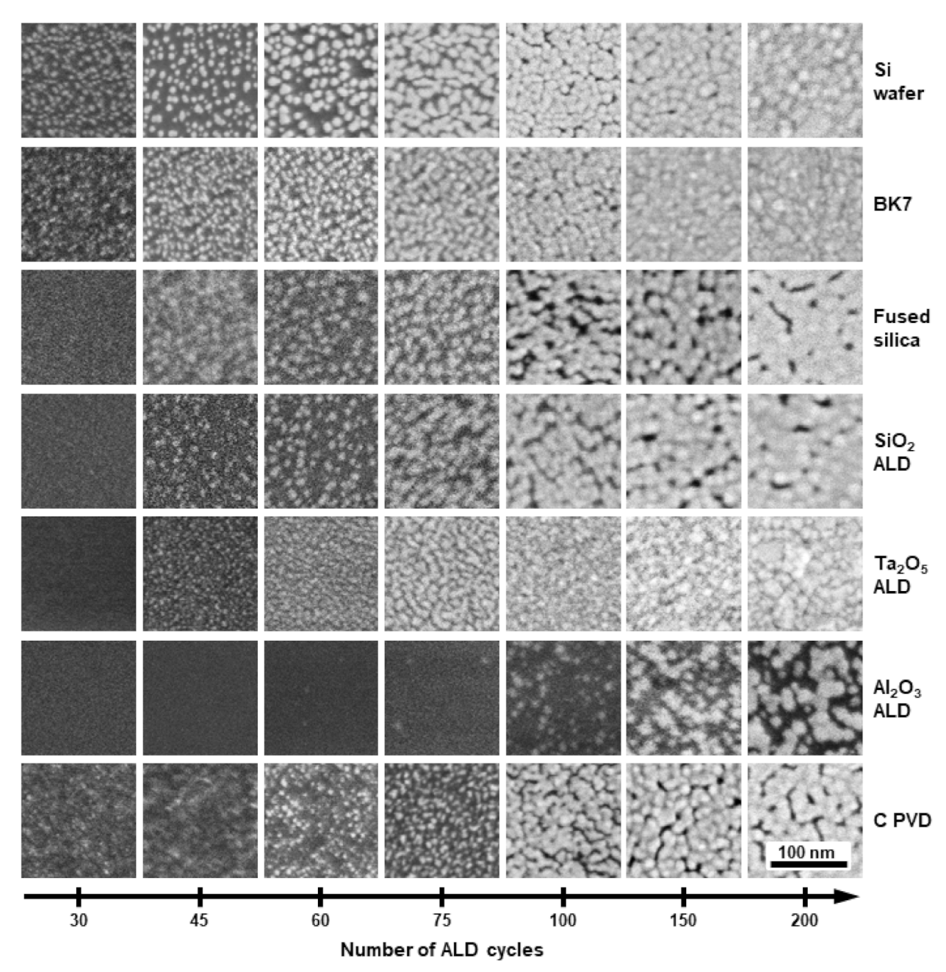 Coatings 11 00173 g001