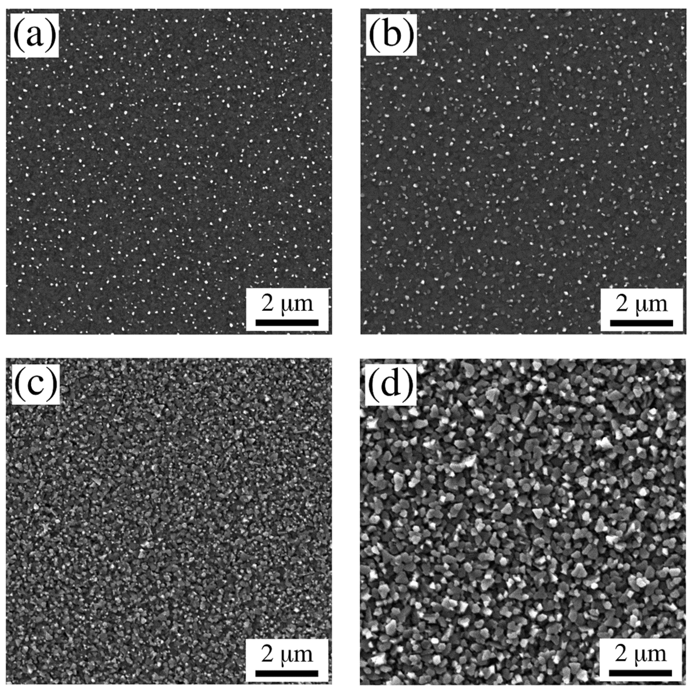 Coatings 11 00175 g002 Coatings 11 00175 g002